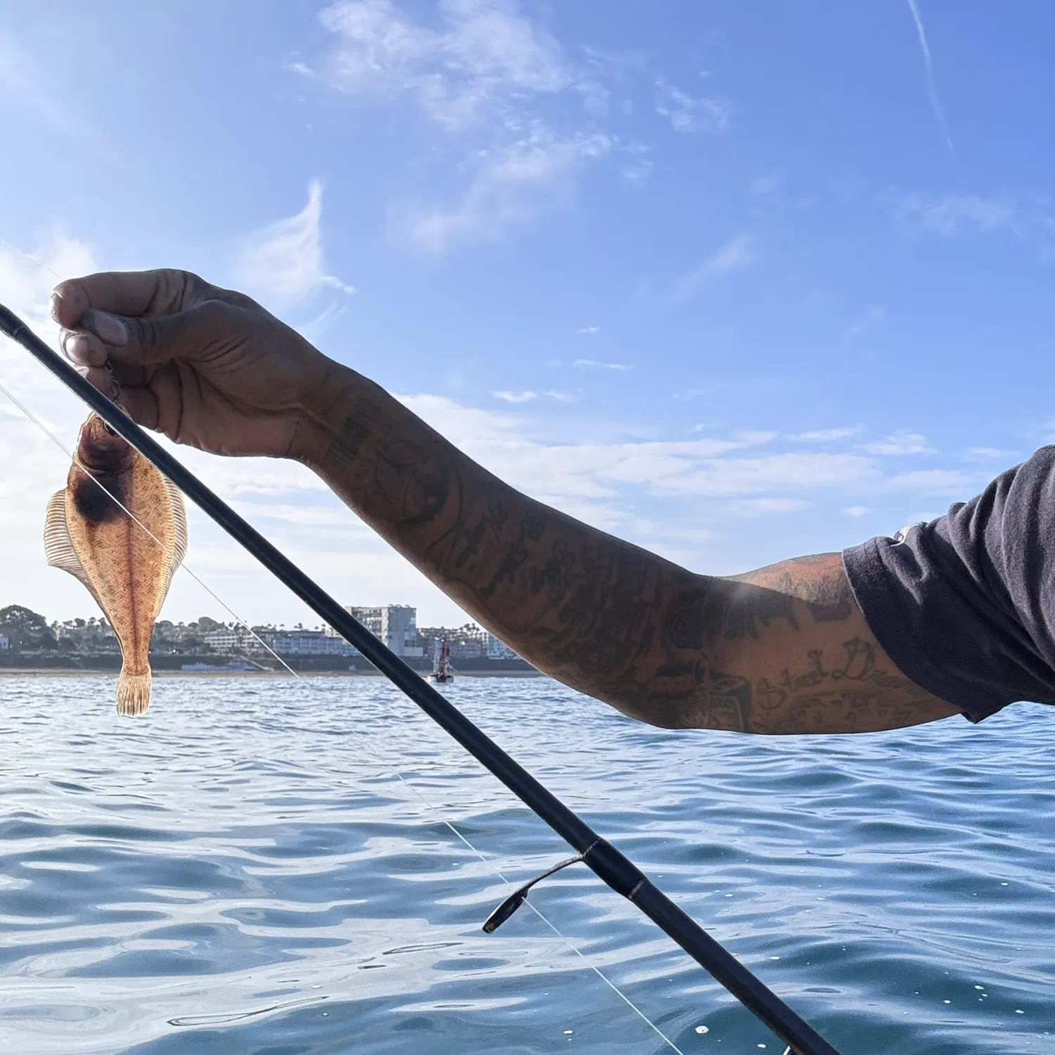 The most recent Pacific sanddab catches on Fishbrain