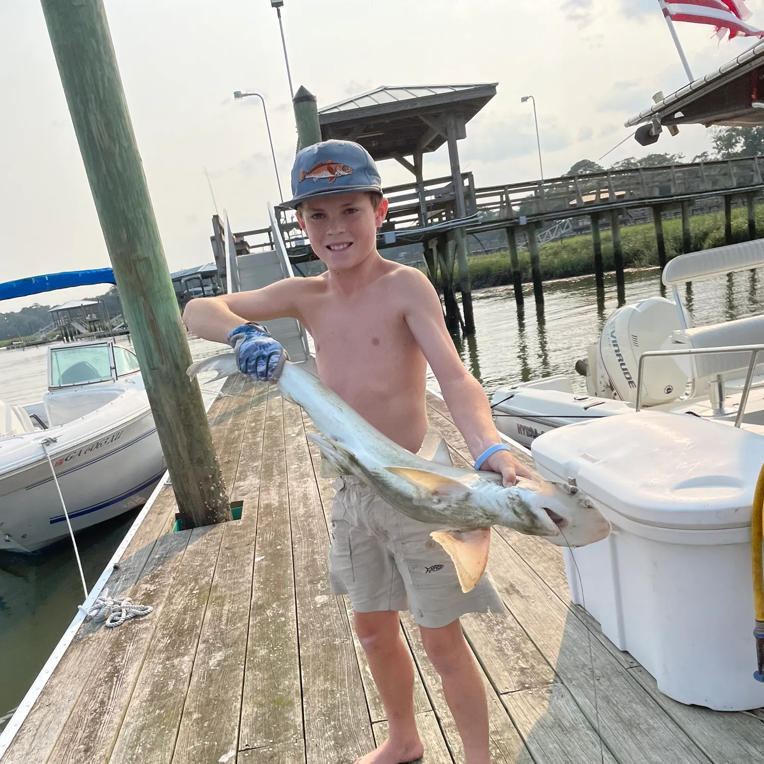 The most recent Bonnethead shark catches on Fishbrain
