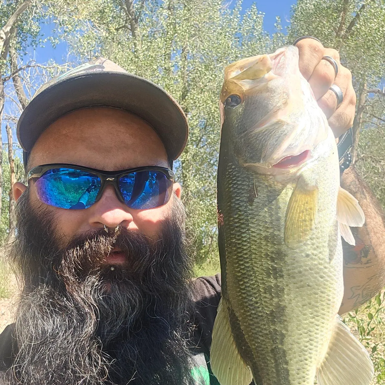 Largemouth bass caught on Fishbrain