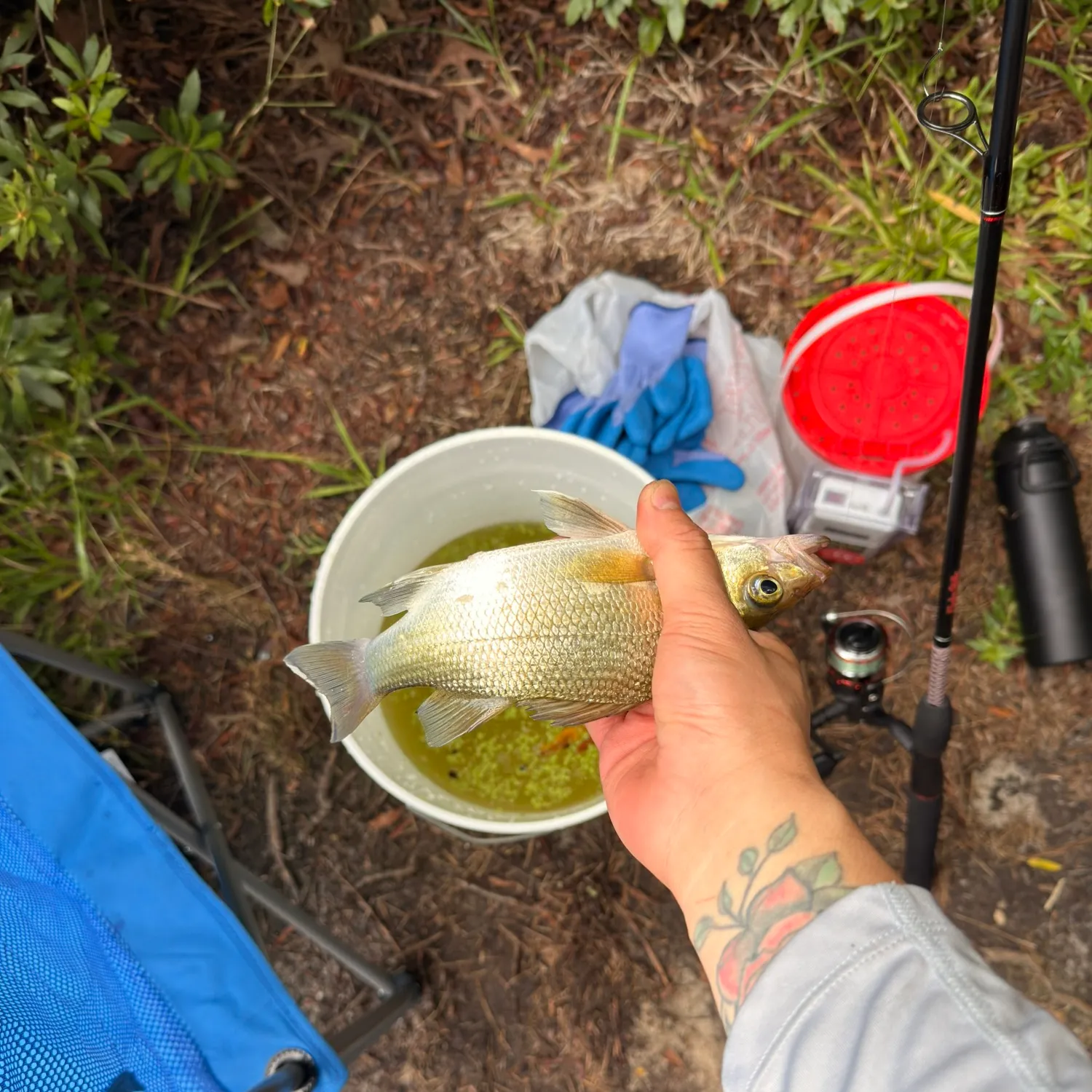 catch