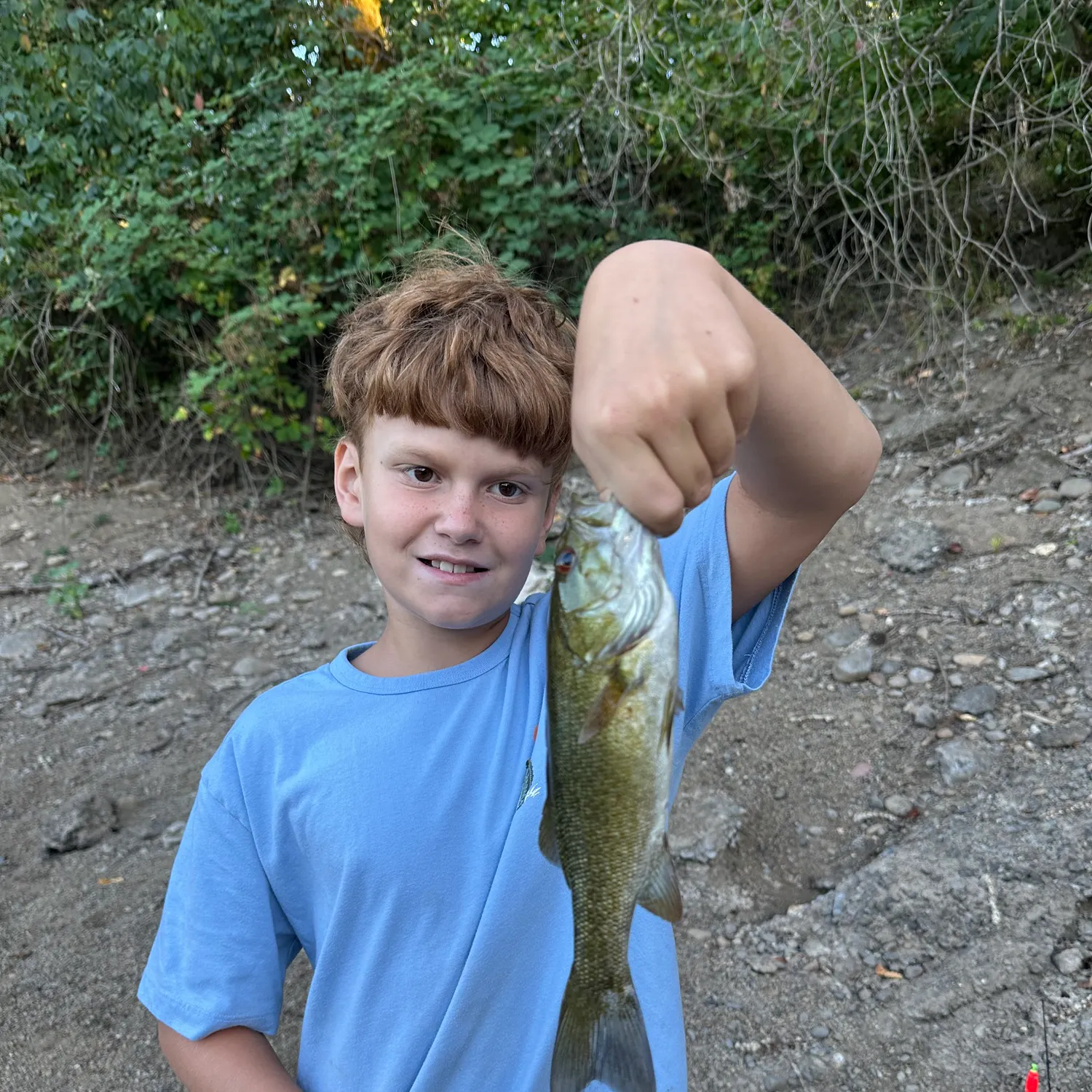 Smallmouth bass caught on Fishbrain