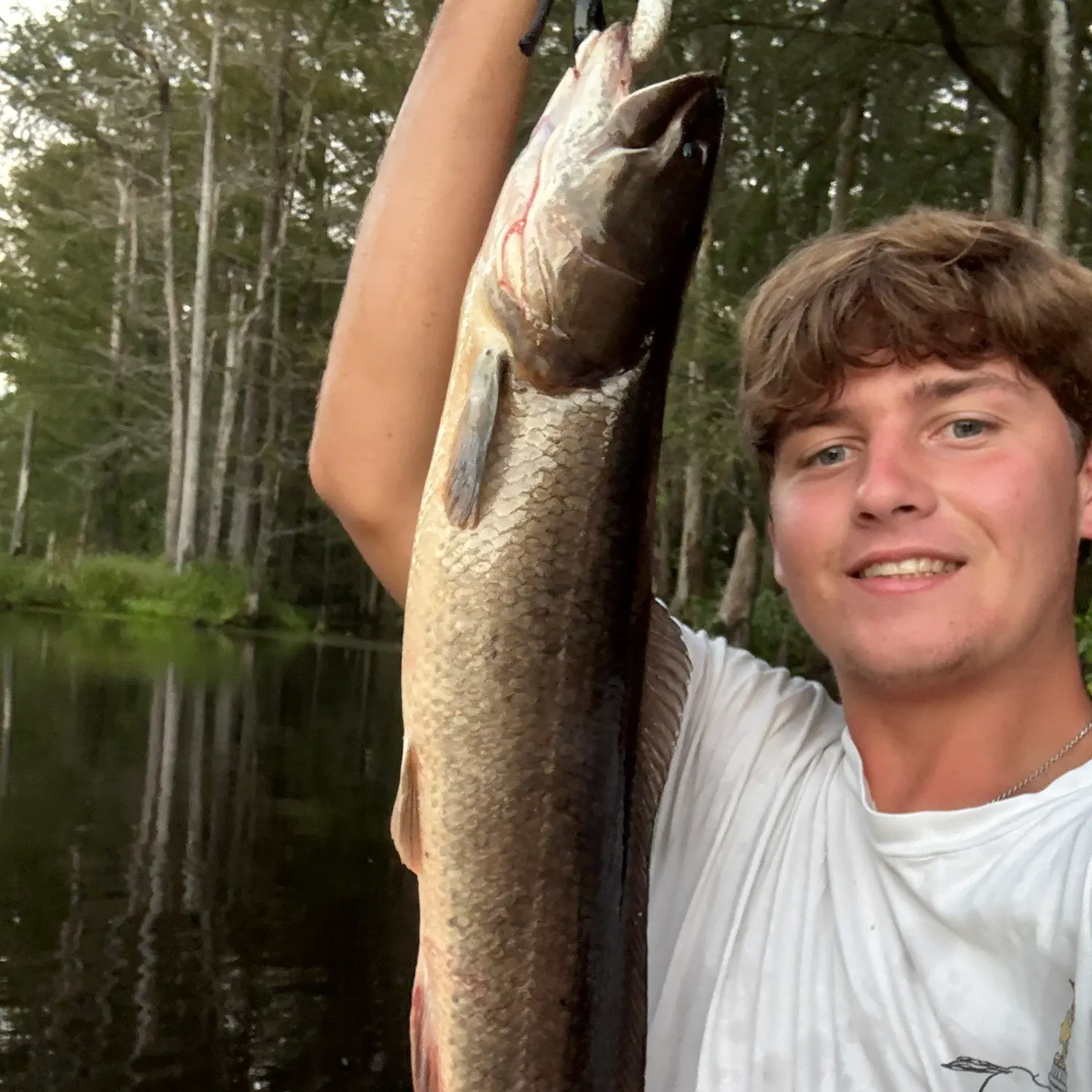 The most recent Ruddy bowfin catches on Fishbrain