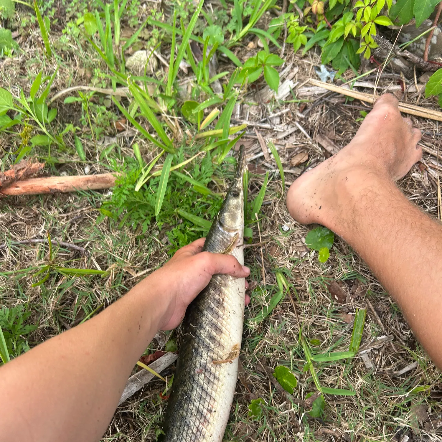 catch