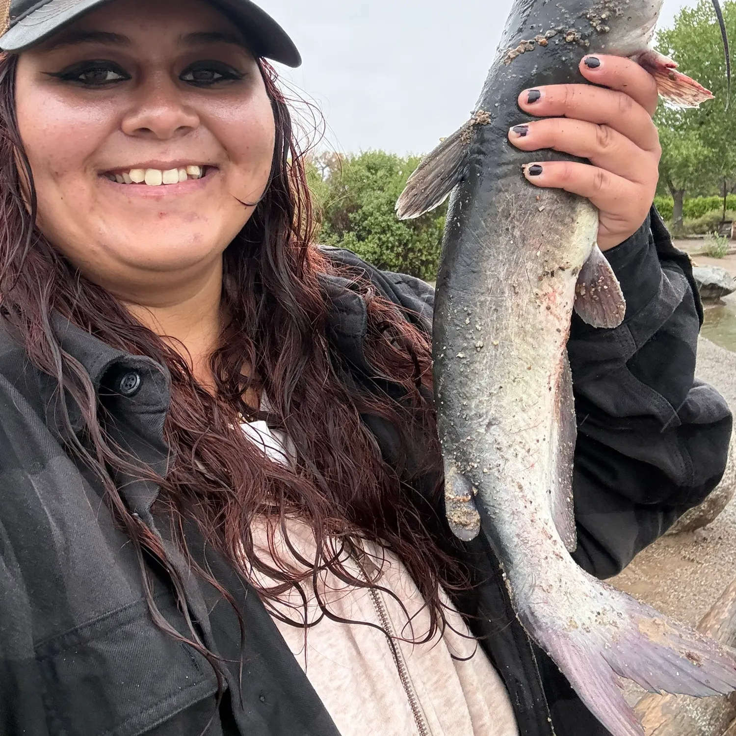 Channel catfish caught on Fishbrain