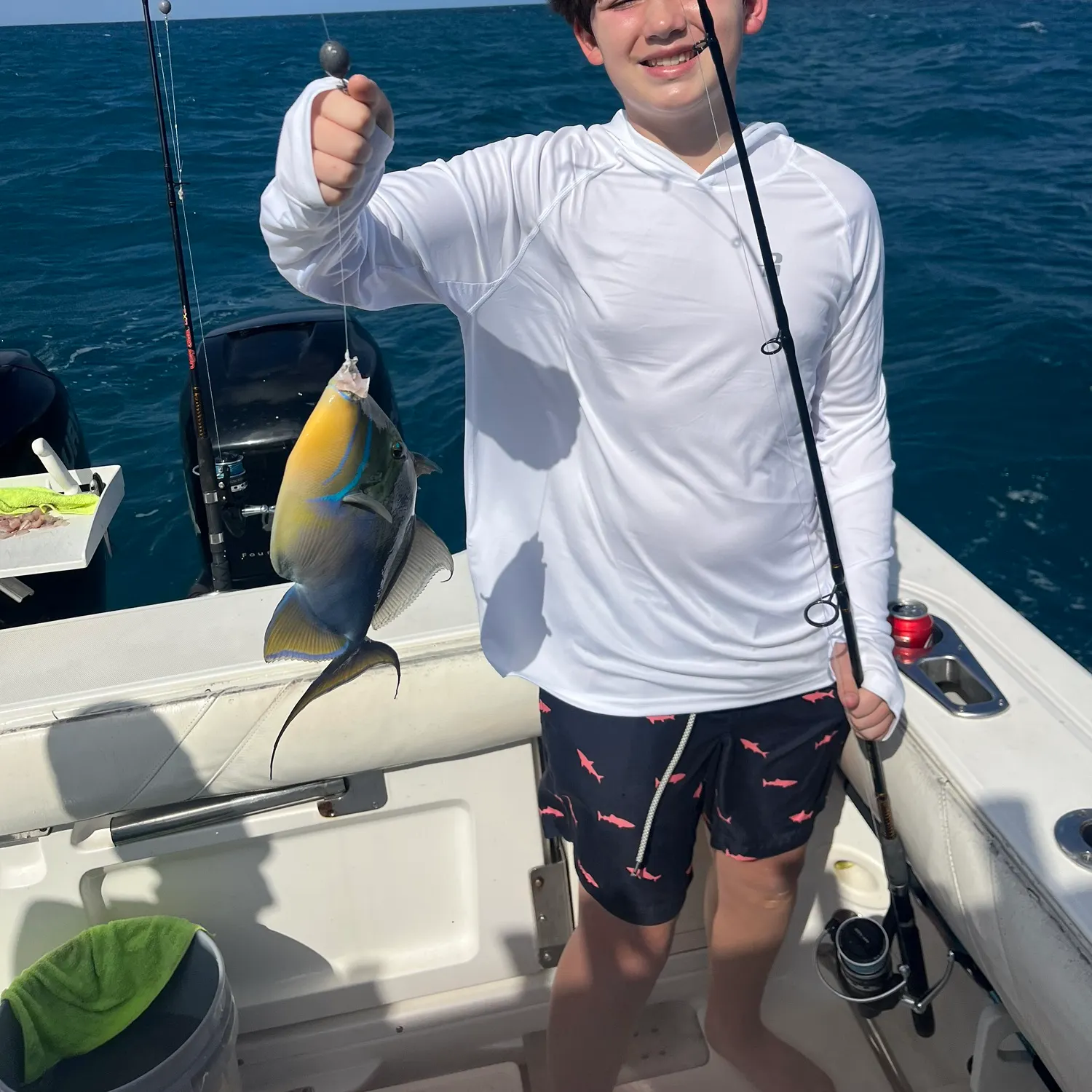 The most recent Picasso triggerfish catches on Fishbrain