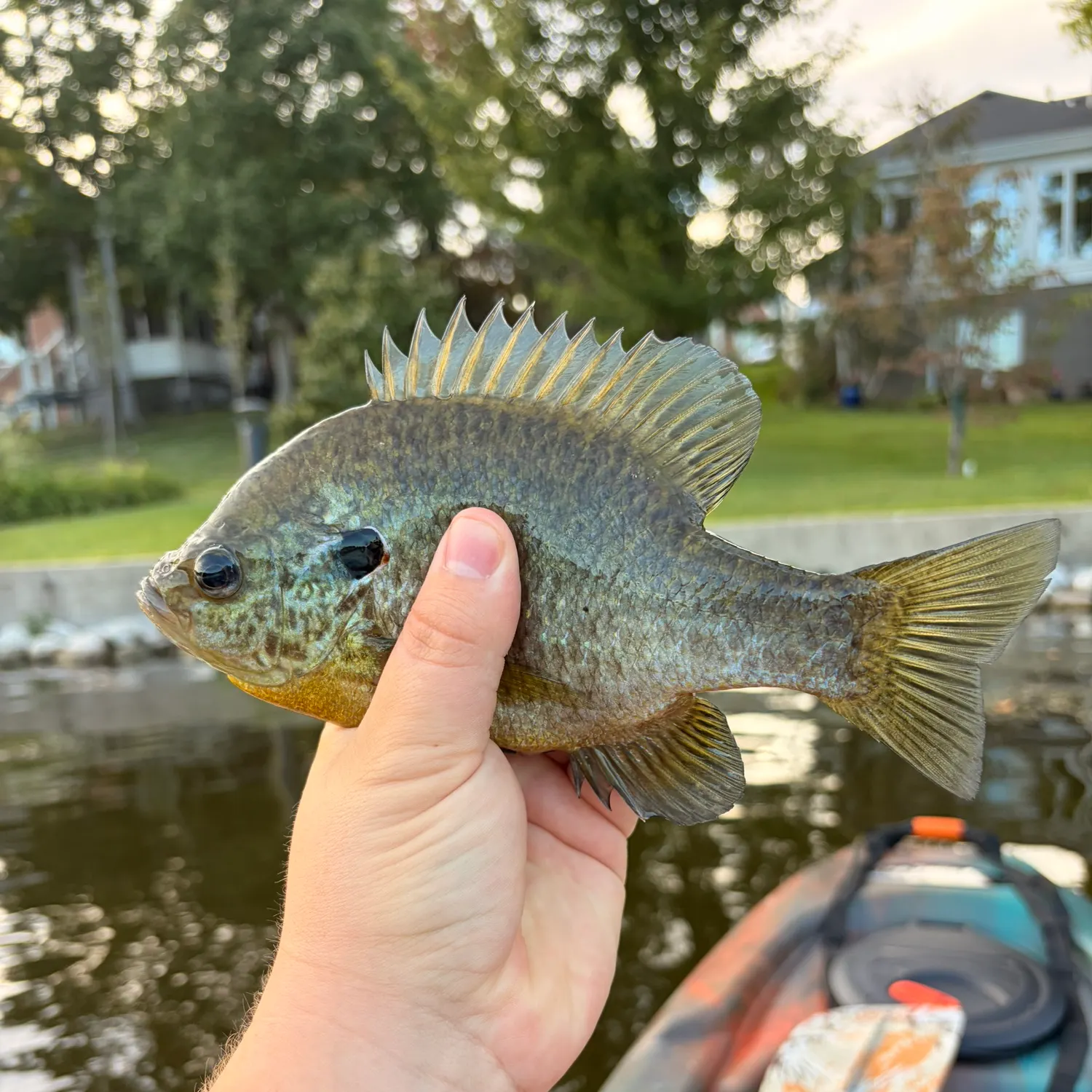 catch
