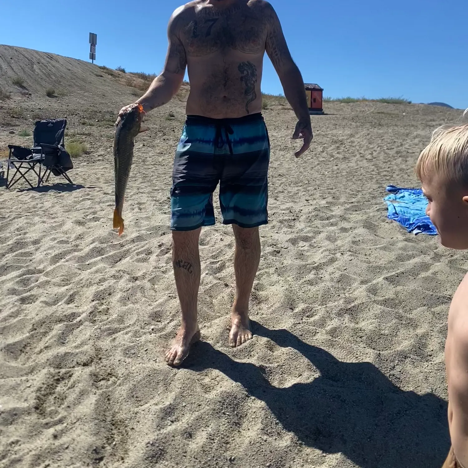 Common carp caught on Fishbrain
