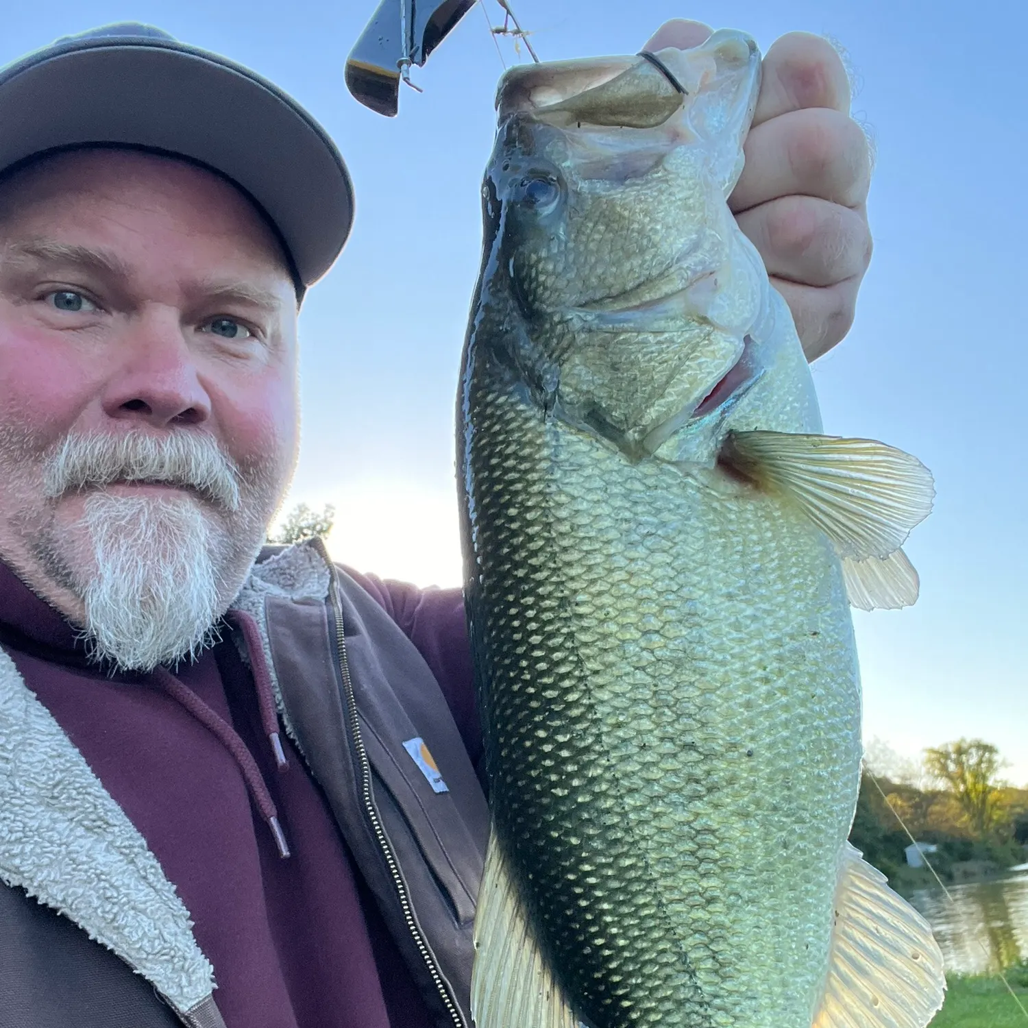 Largemouth bass caught on Fishbrain