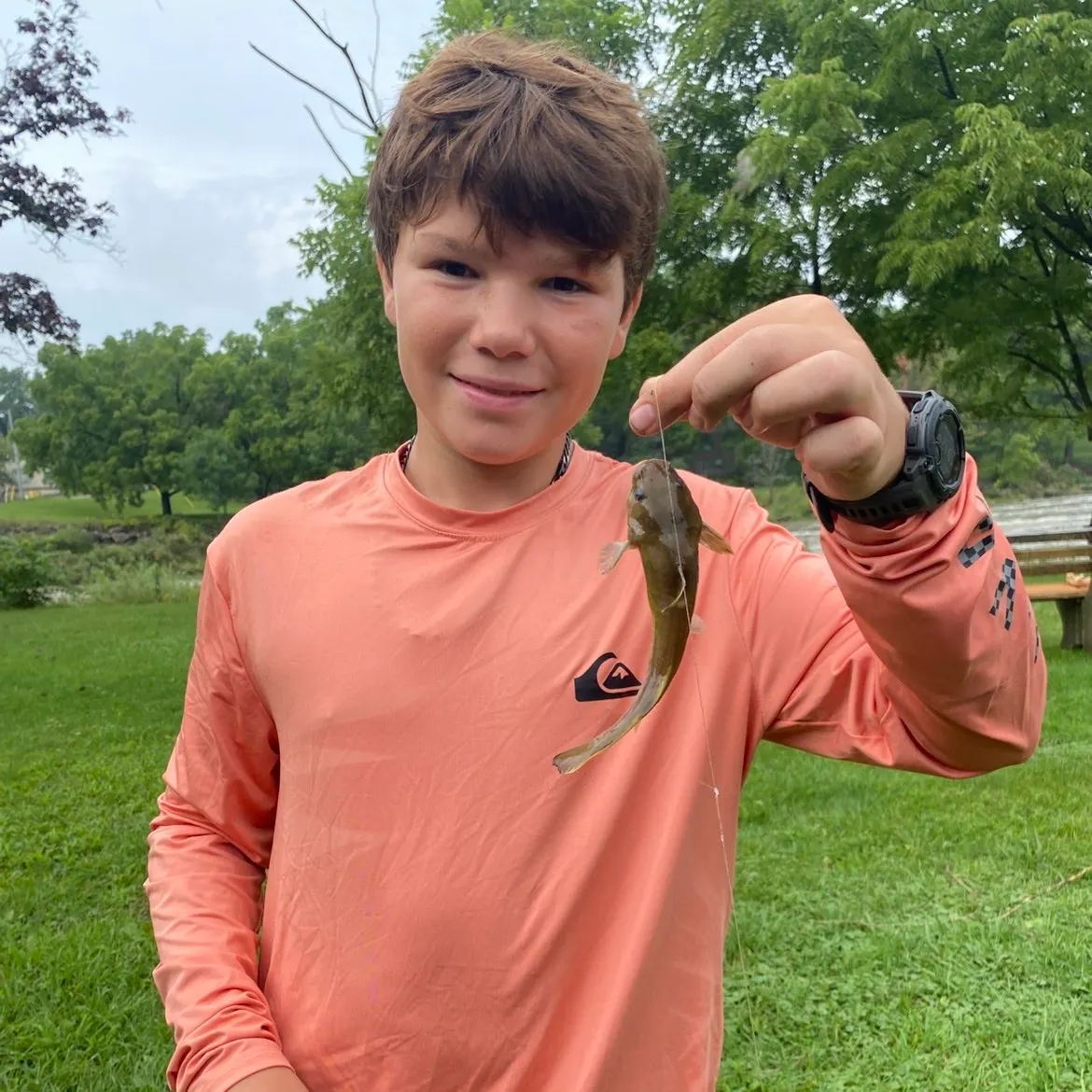 Stonecat caught on Fishbrain