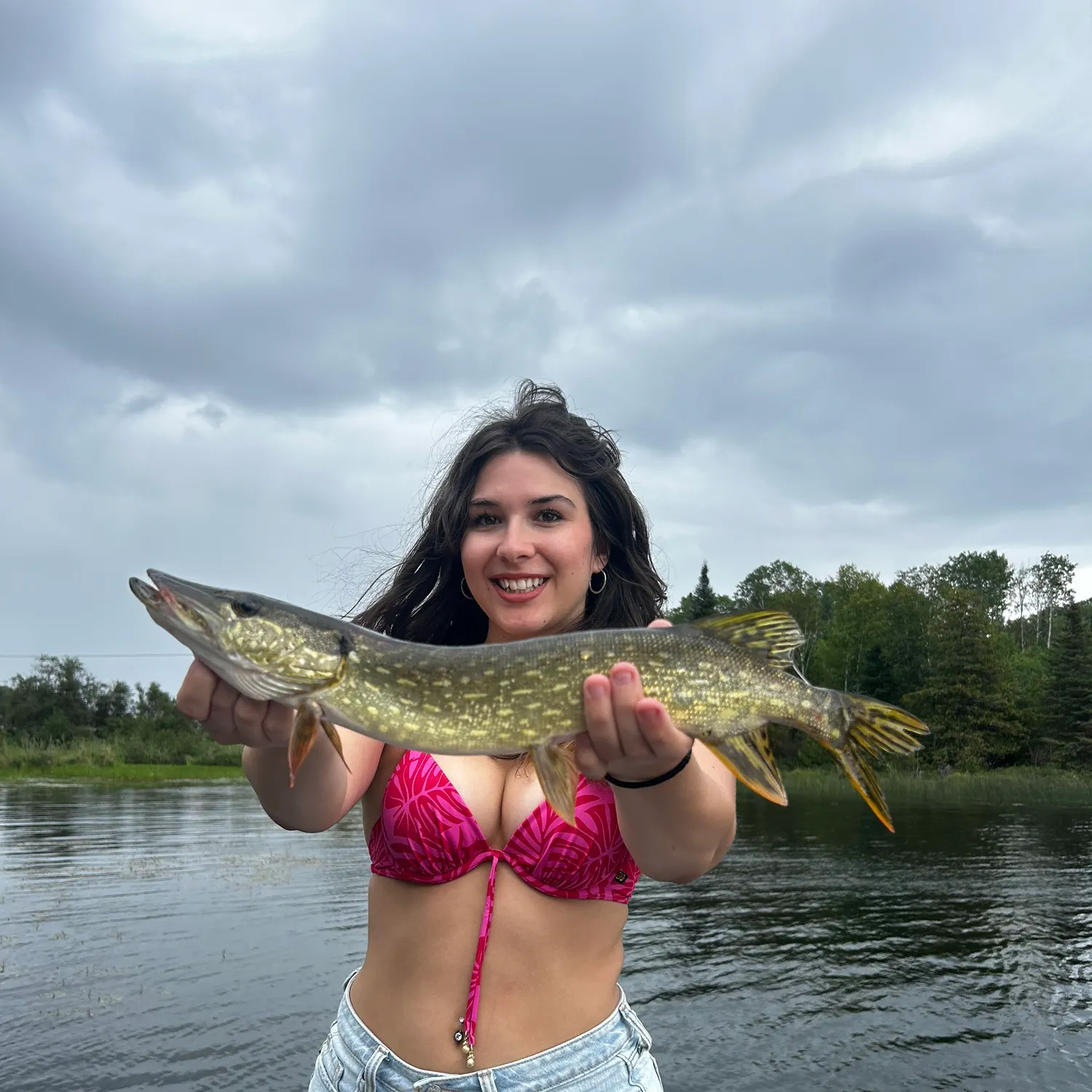 Northern pike caught on Fishbrain