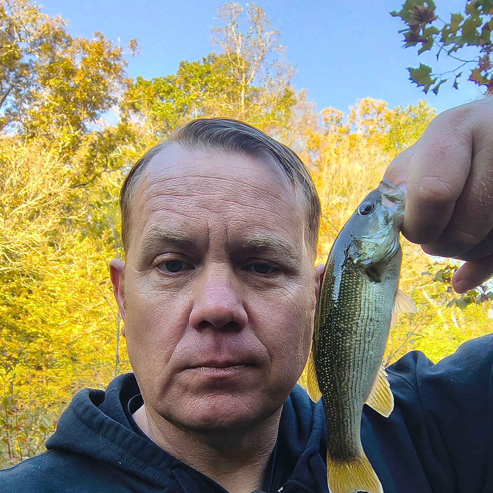 The most recent Redeye bass catches on Fishbrain