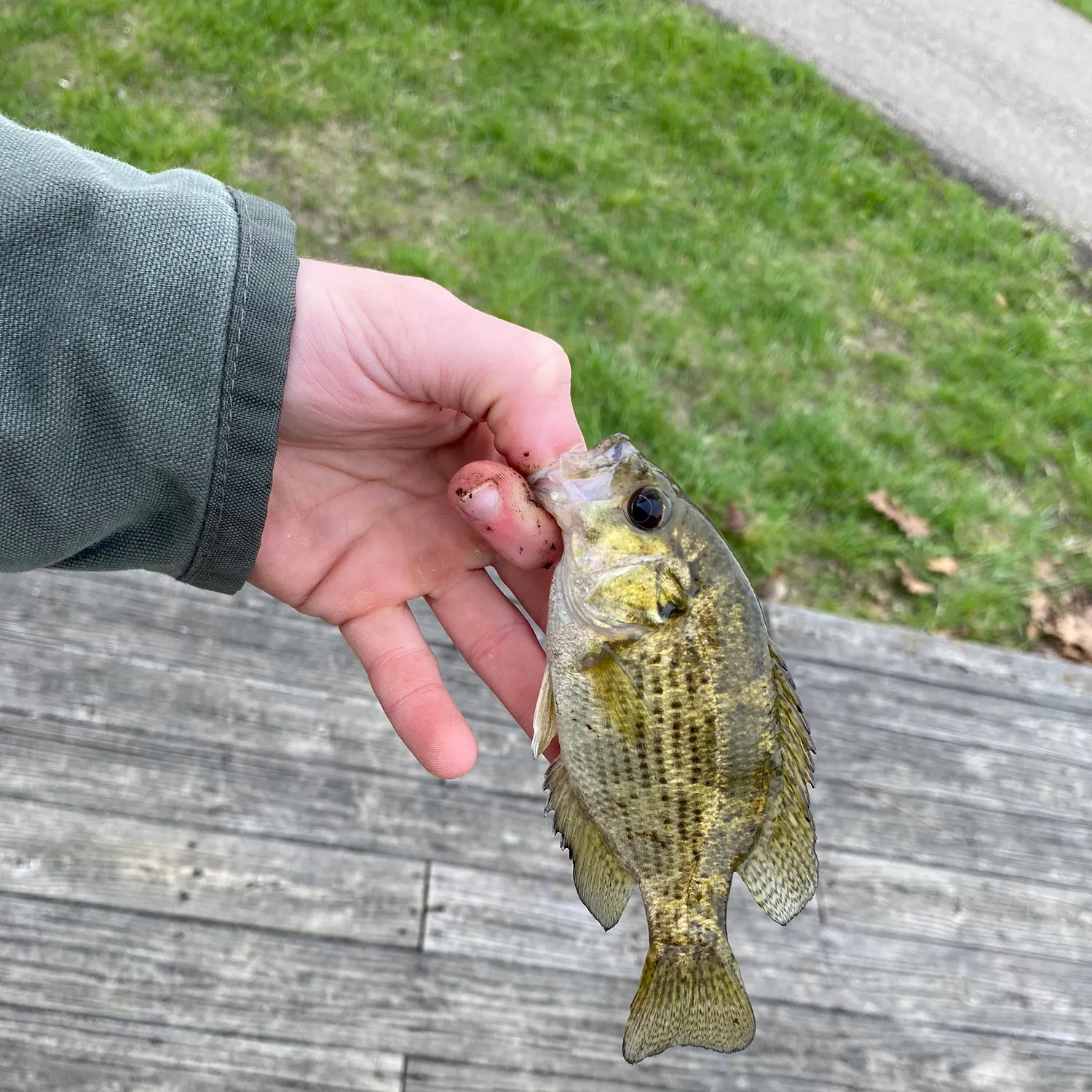 catch