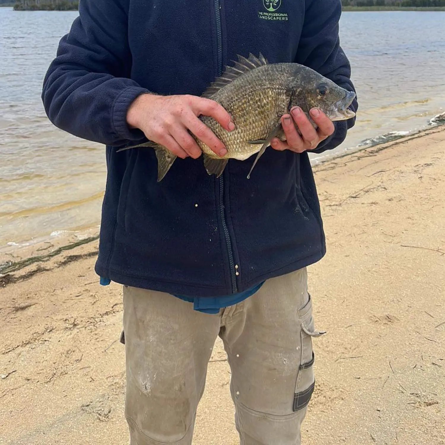 ᐅ Meroo Lake fishing reports🎣• Nowra, New South Wales (Australia) fishing