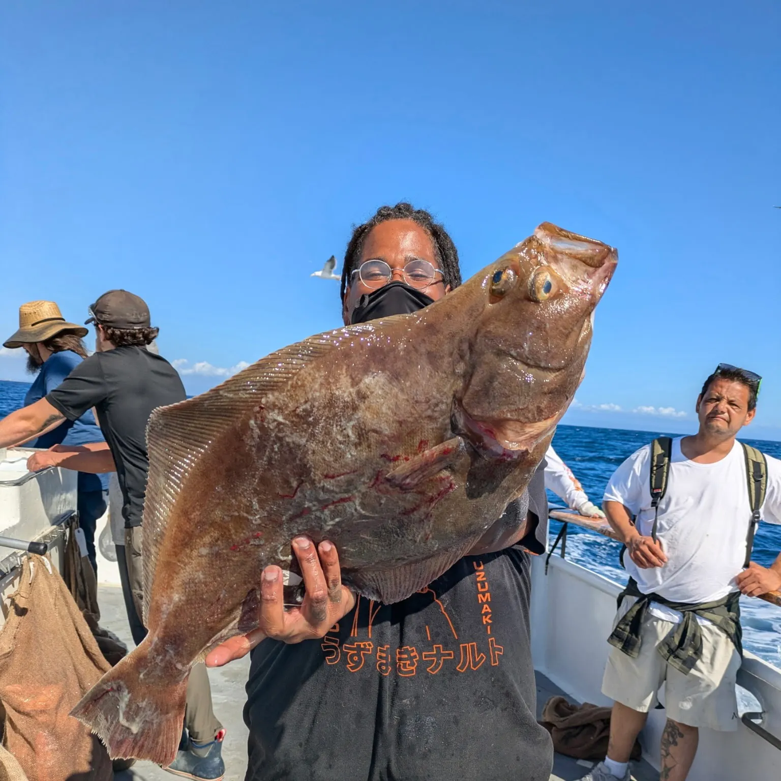 The most recent Pacific sand sole catches on Fishbrain