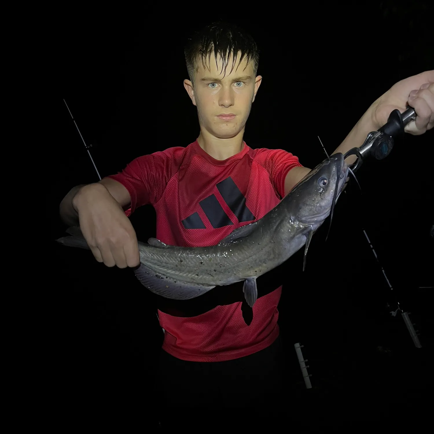 Channel catfish caught on Fishbrain