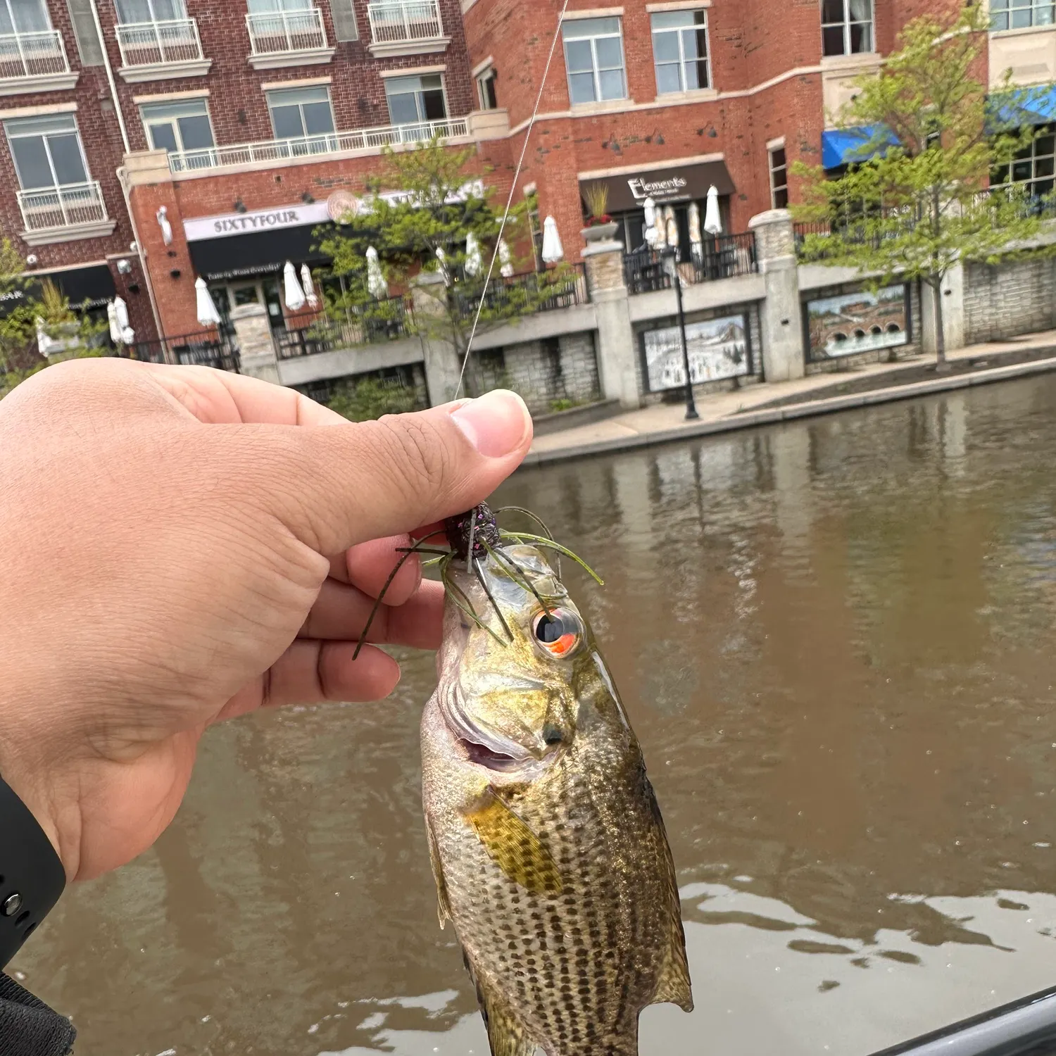catch