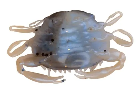 Alive! Peeler Crabs