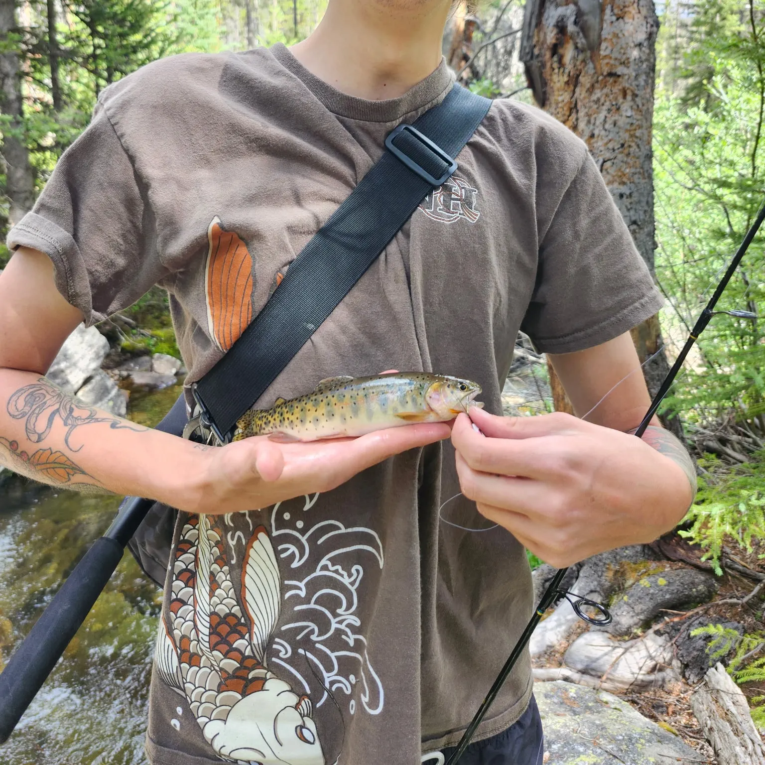 recently logged catches