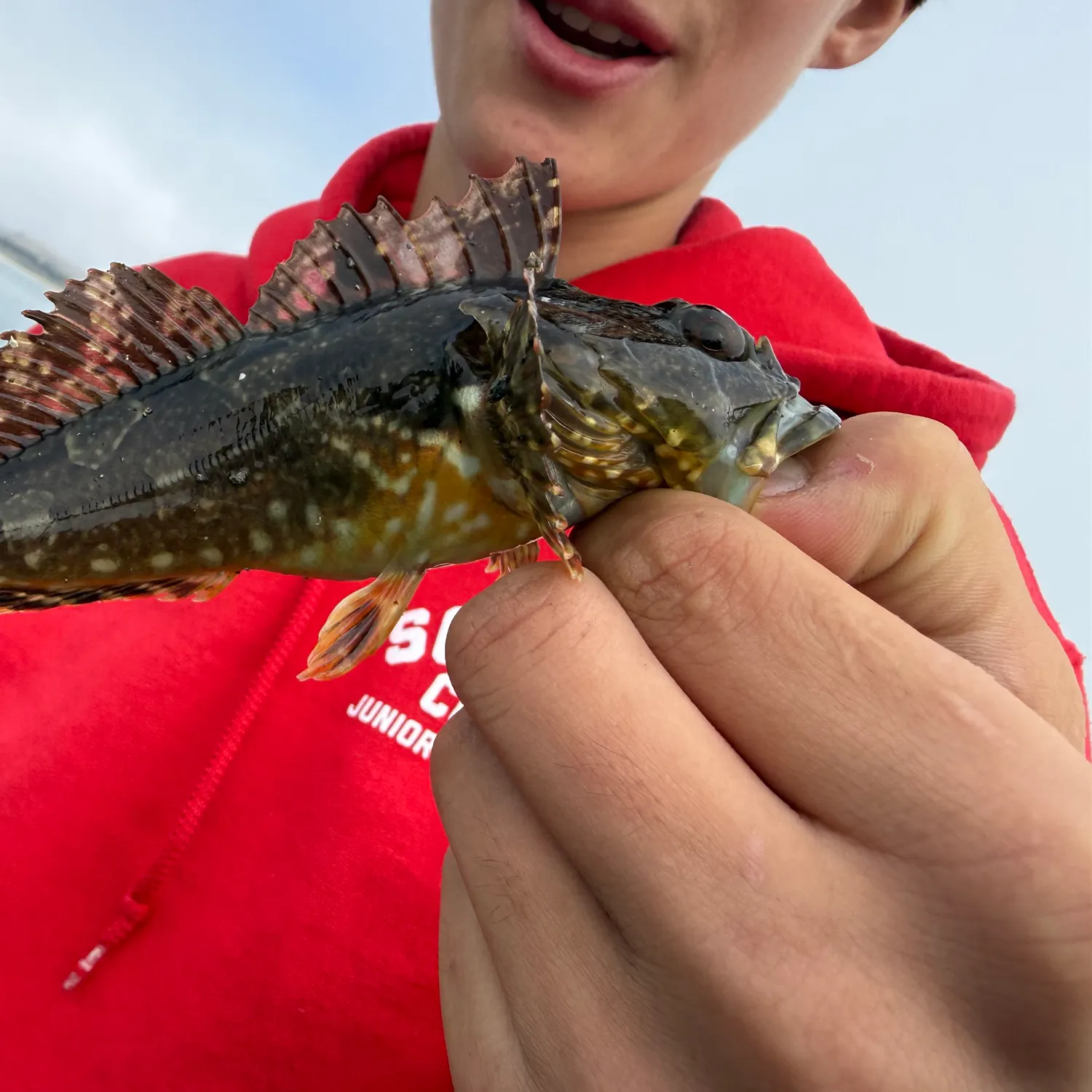 Cabezon caught on Fishbrain