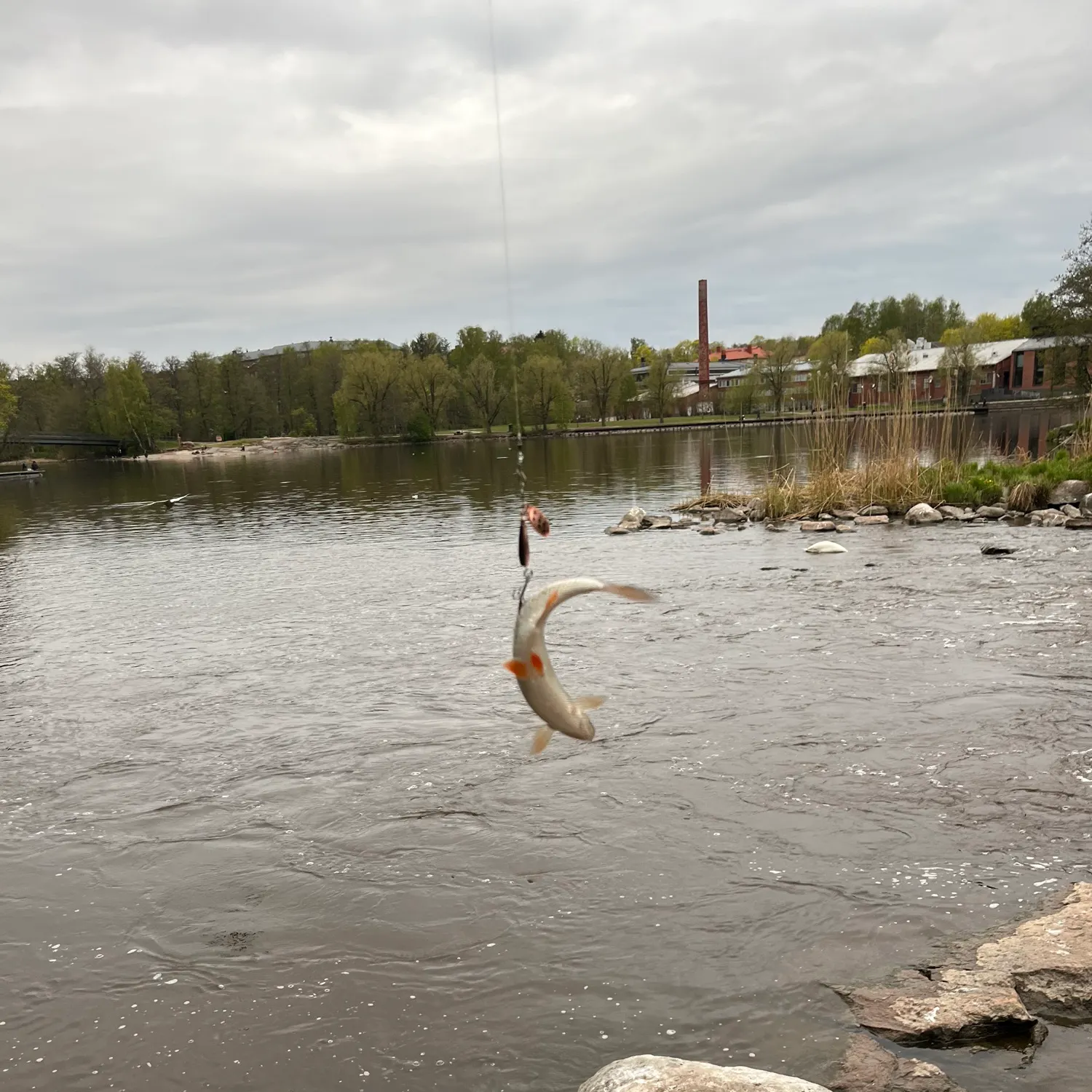 catch