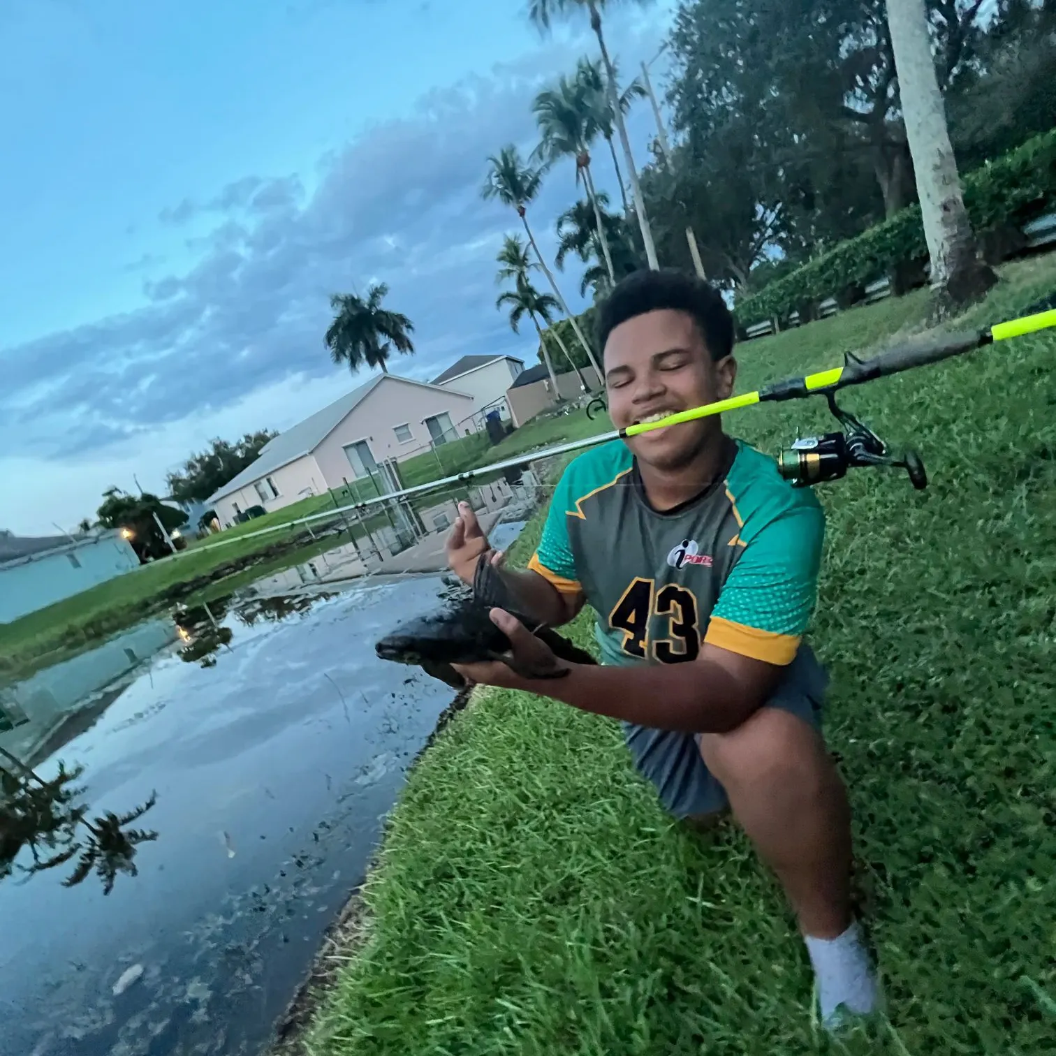 The most recent Orinoco sailfin catfish catches on Fishbrain