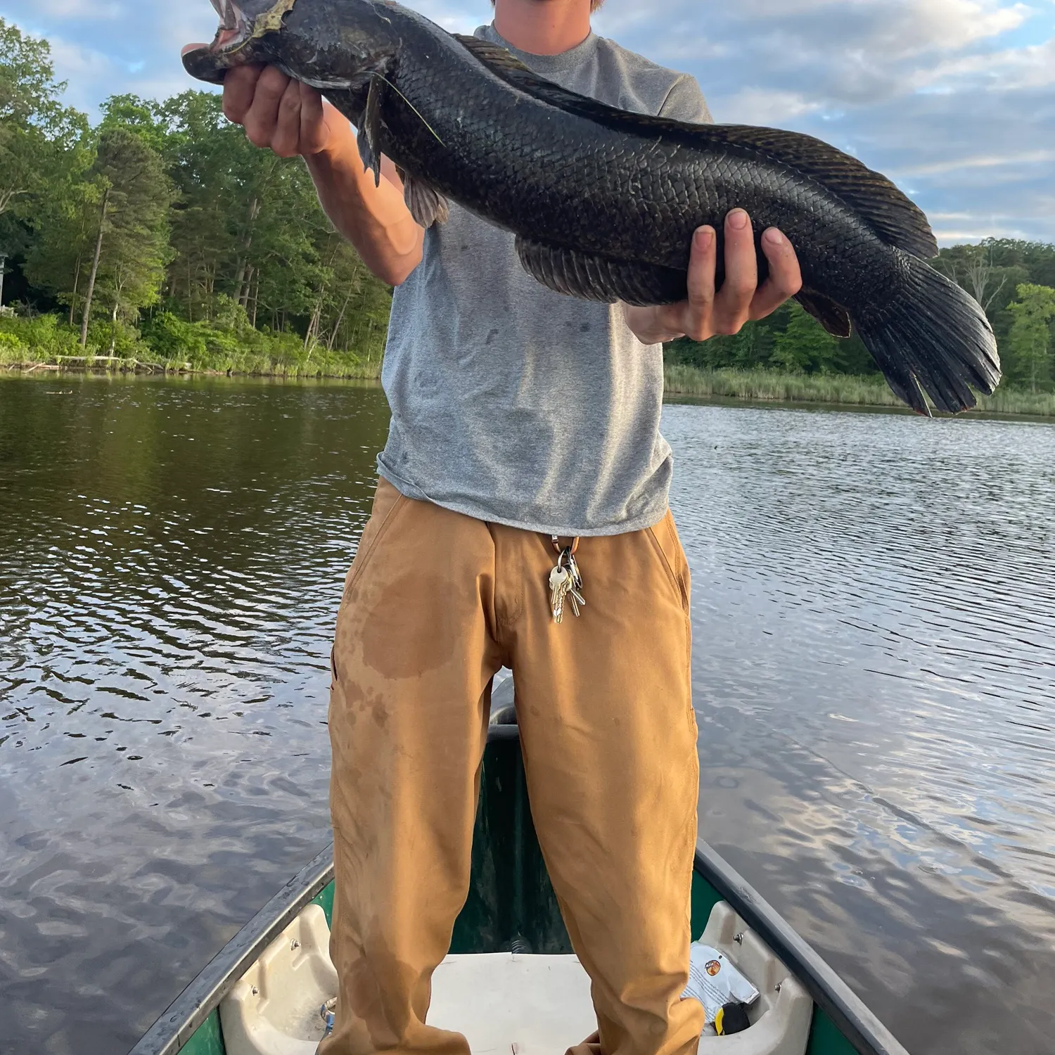 catch