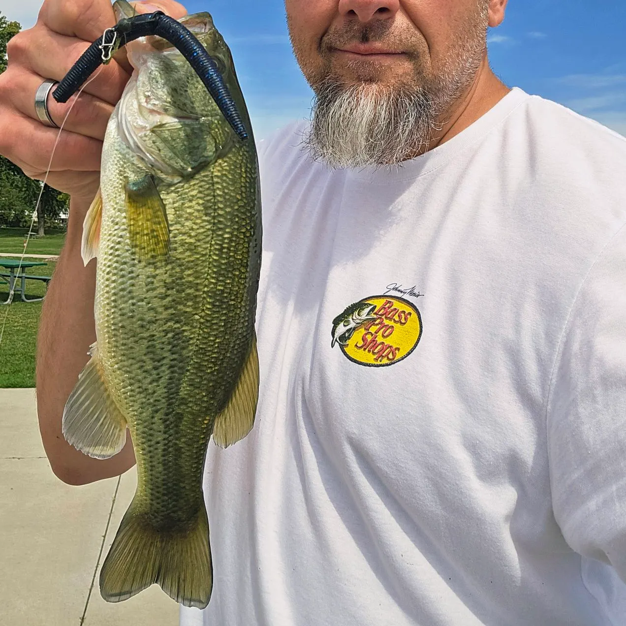 Largemouth bass caught on Fishbrain