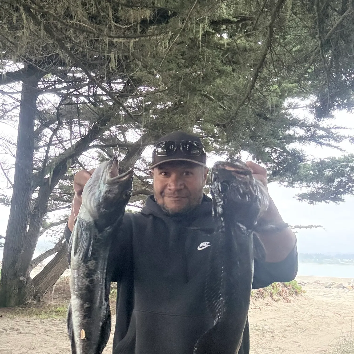 The most recent Lingcod catches on Fishbrain