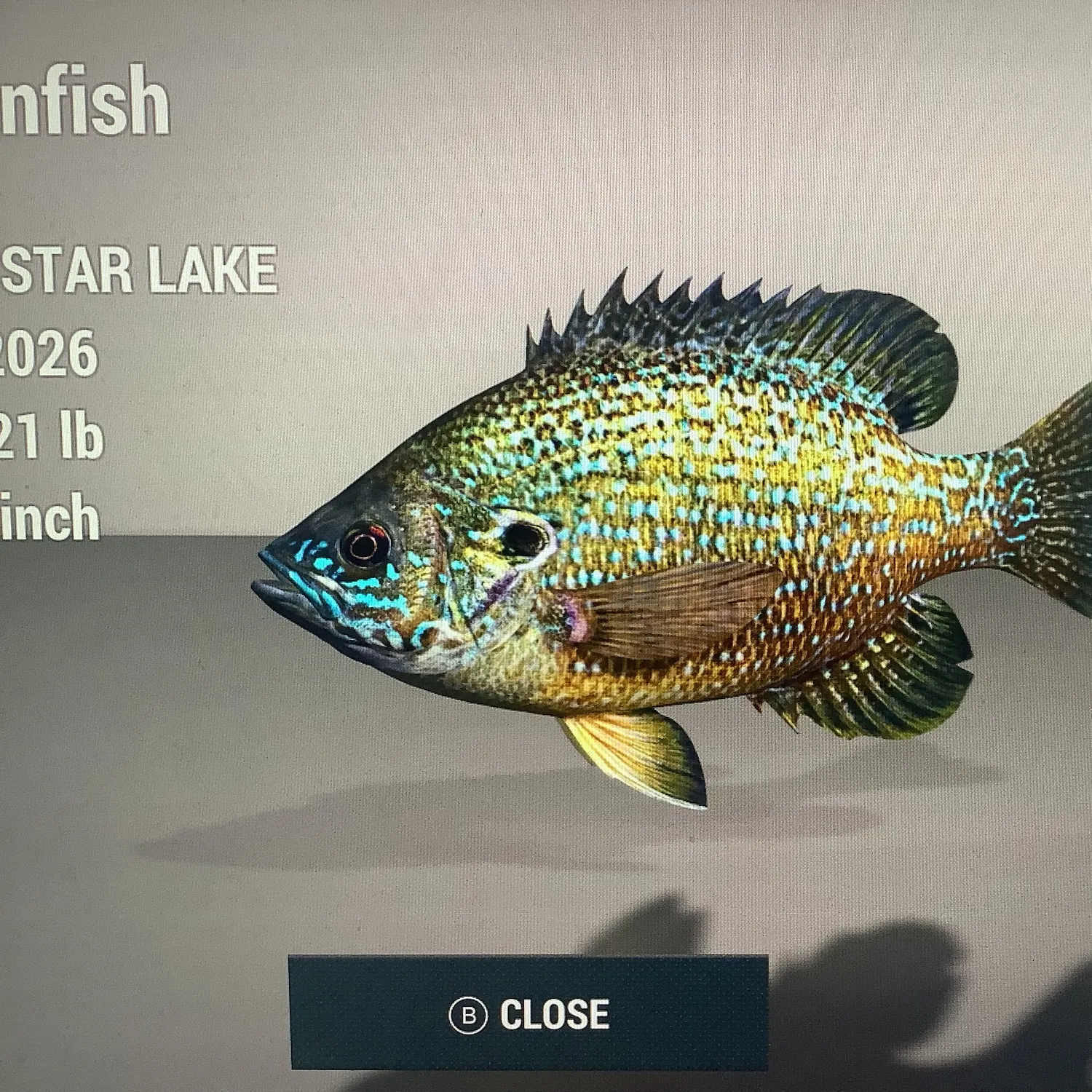 recently logged catches