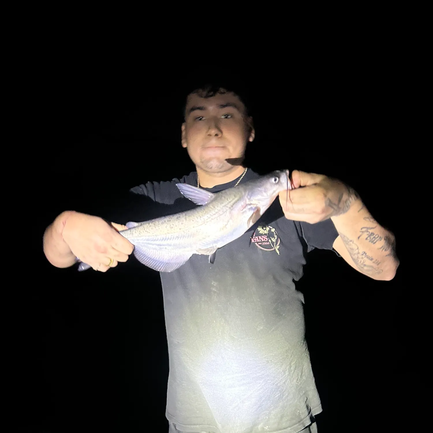 Blue catfish caught on Fishbrain
