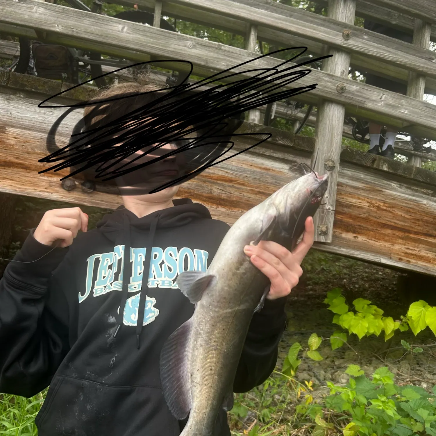 Channel catfish caught on Fishbrain