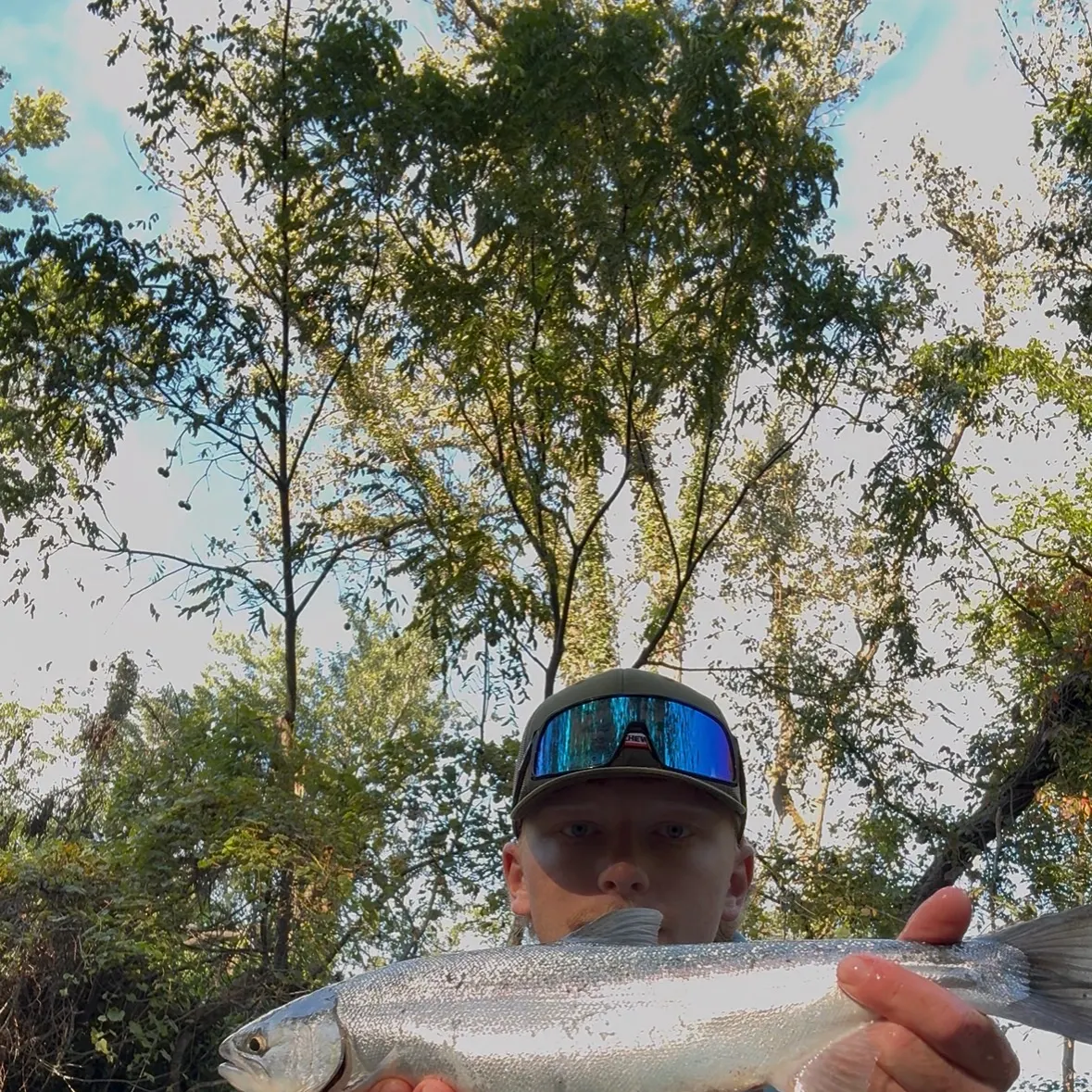 Coho salmon caught on Fishbrain
