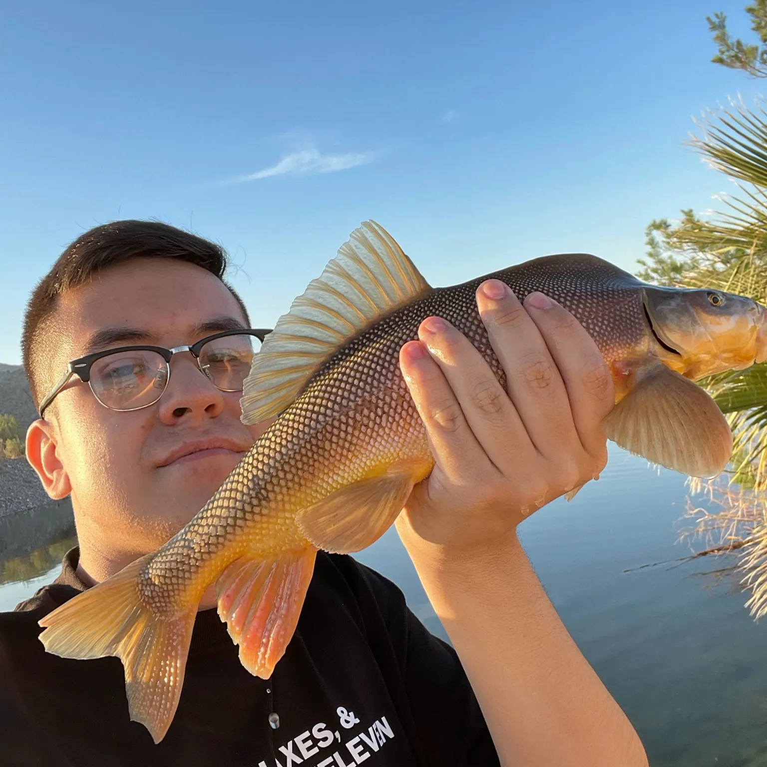 The most recent Razorback sucker catches on Fishbrain