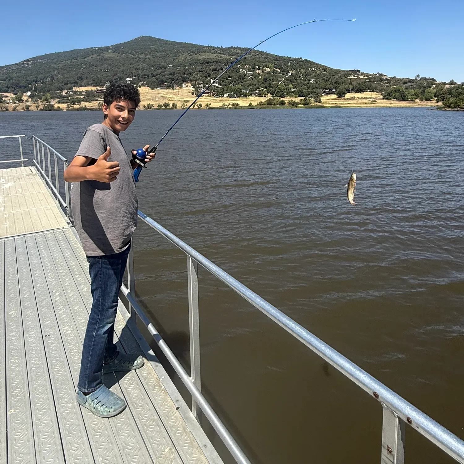 Fish caught on Fishbrain