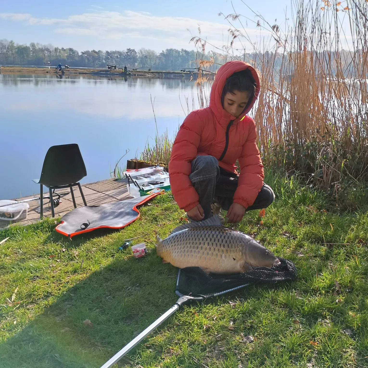 The most recent Common carp catches on Fishbrain