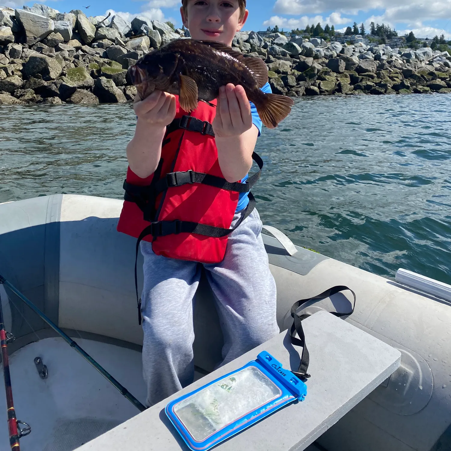 The most recent Dusky rockfish catches on Fishbrain