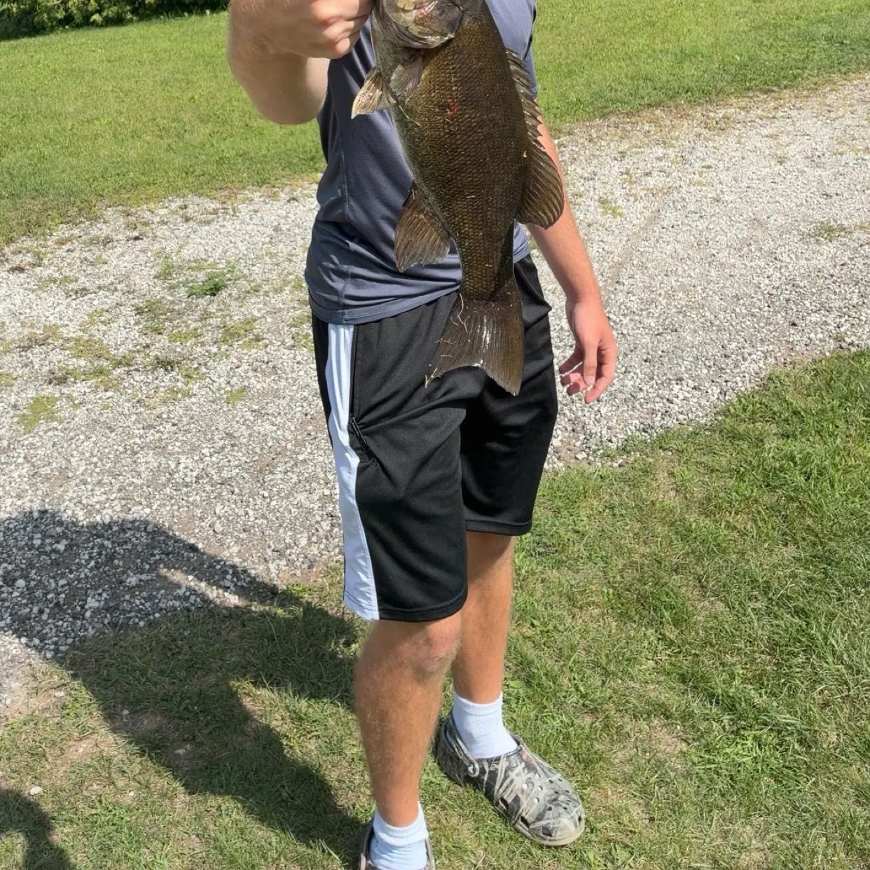 Smallmouth bass caught on Fishbrain