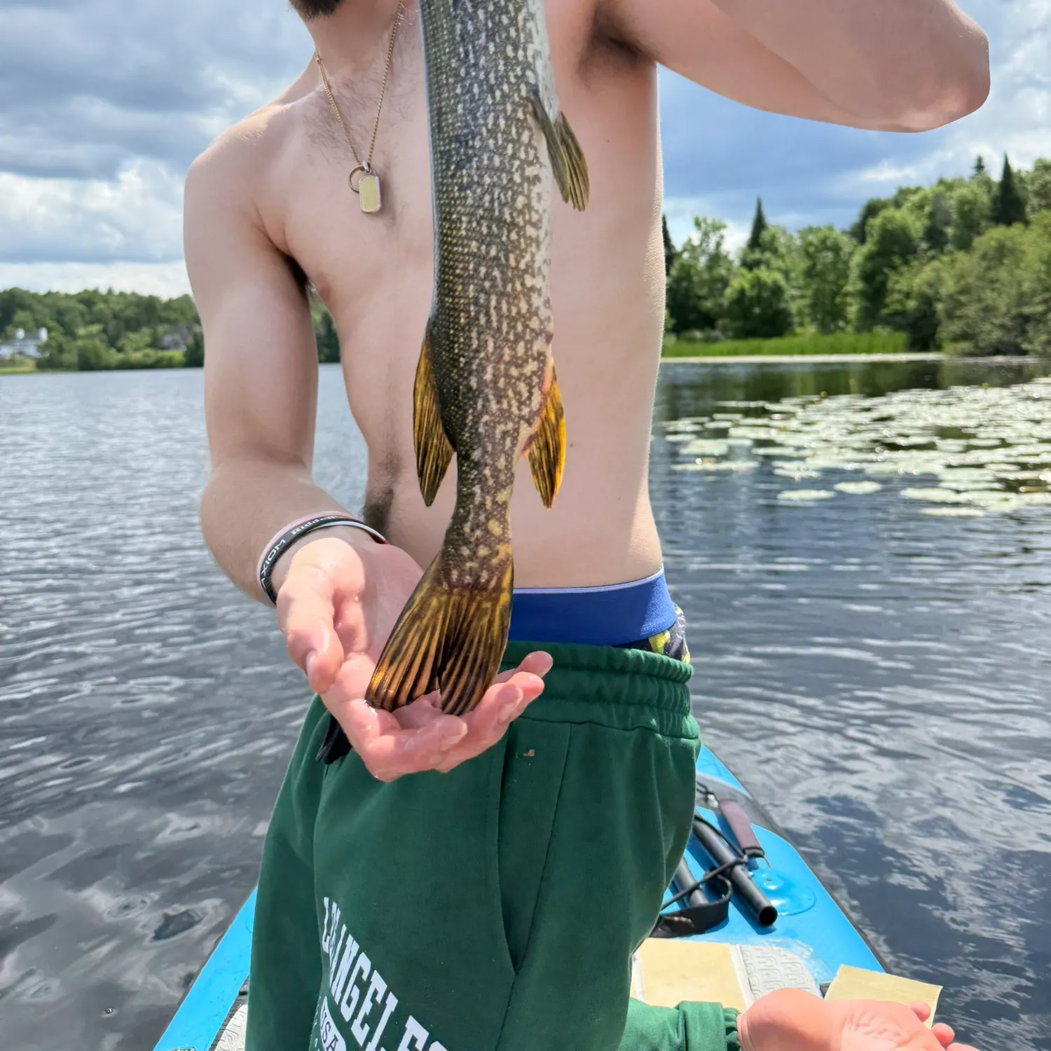 recently logged catches