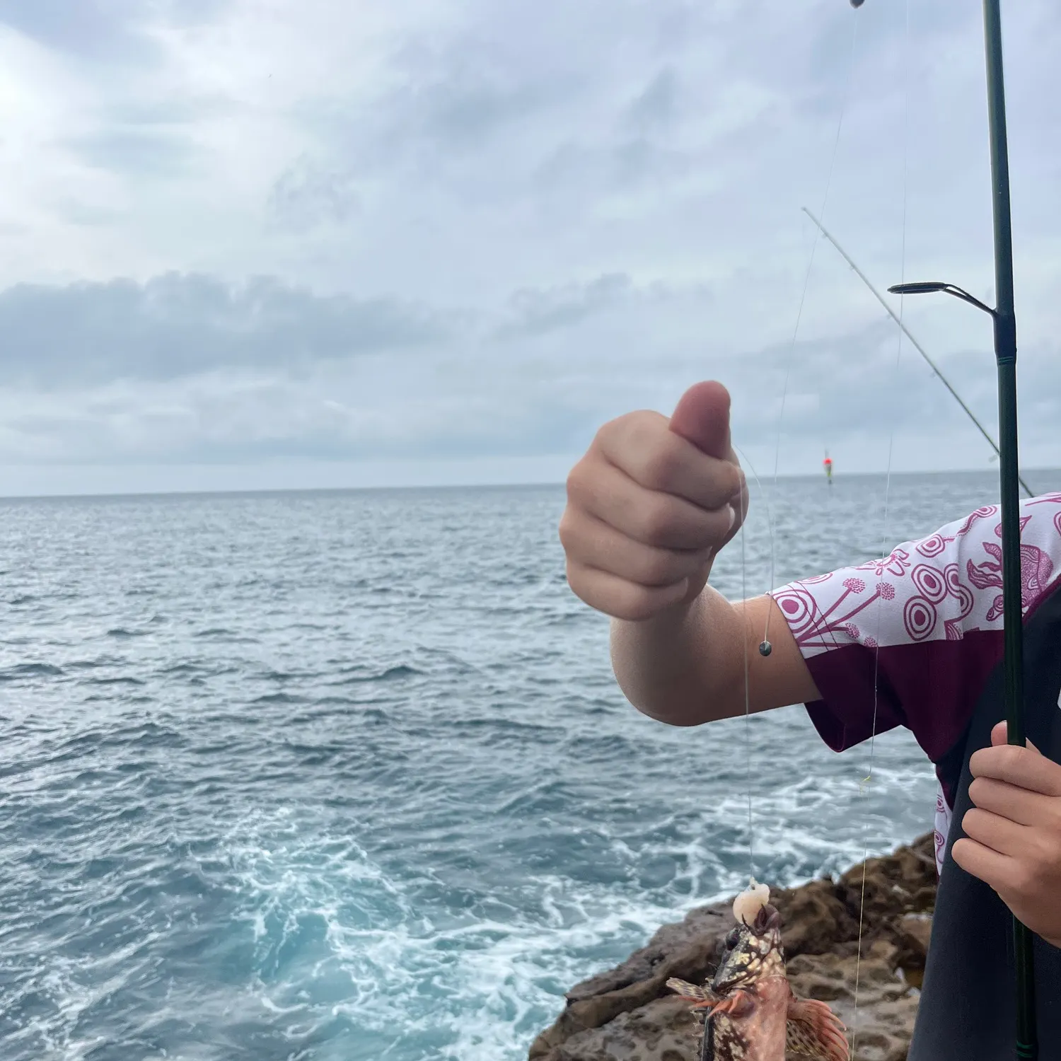 The most recent Saddletail grouper catches on Fishbrain