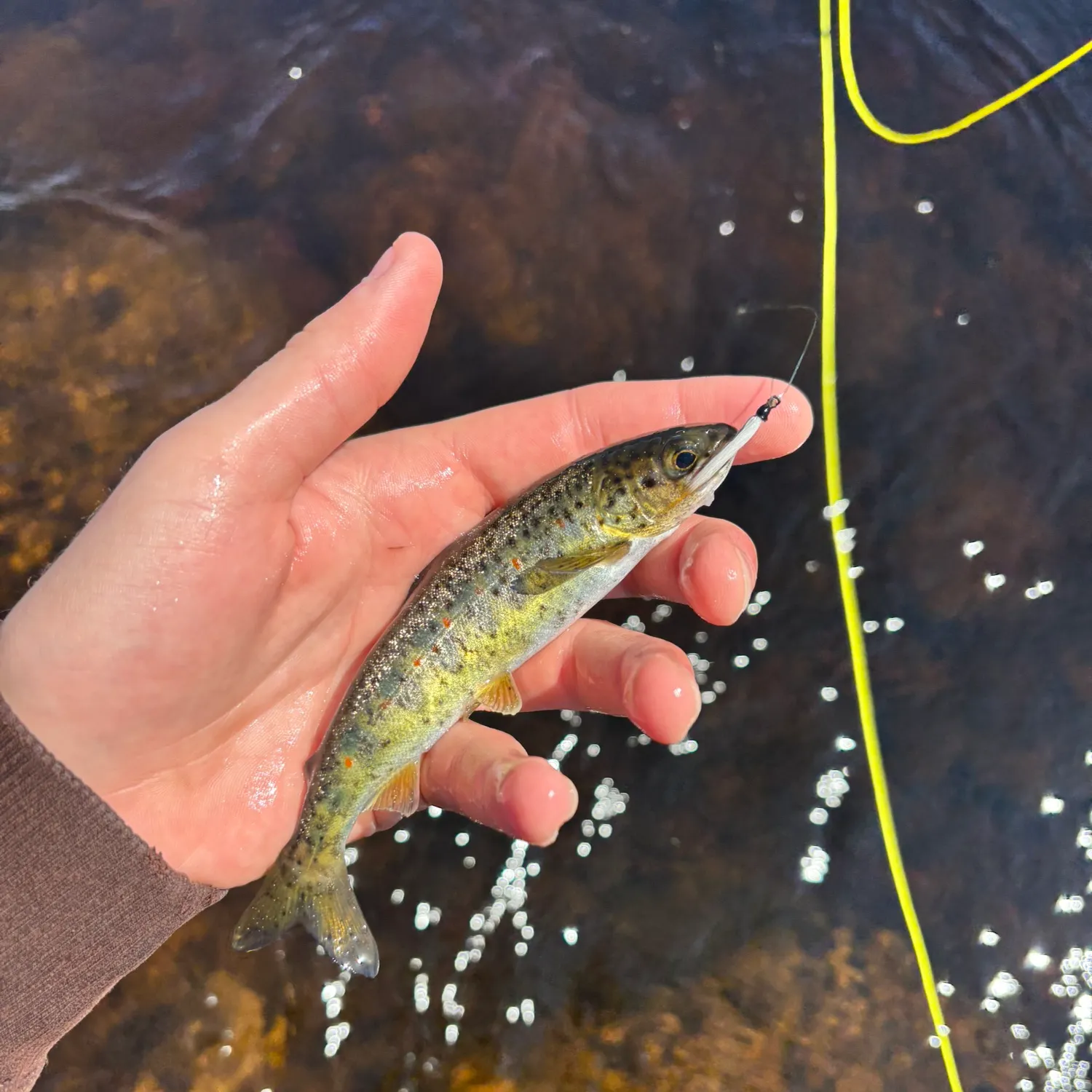 most liked catch image