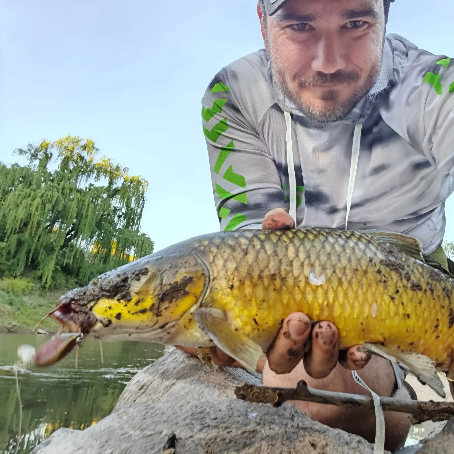 The most recent Smallmouth yellowfish catches on Fishbrain