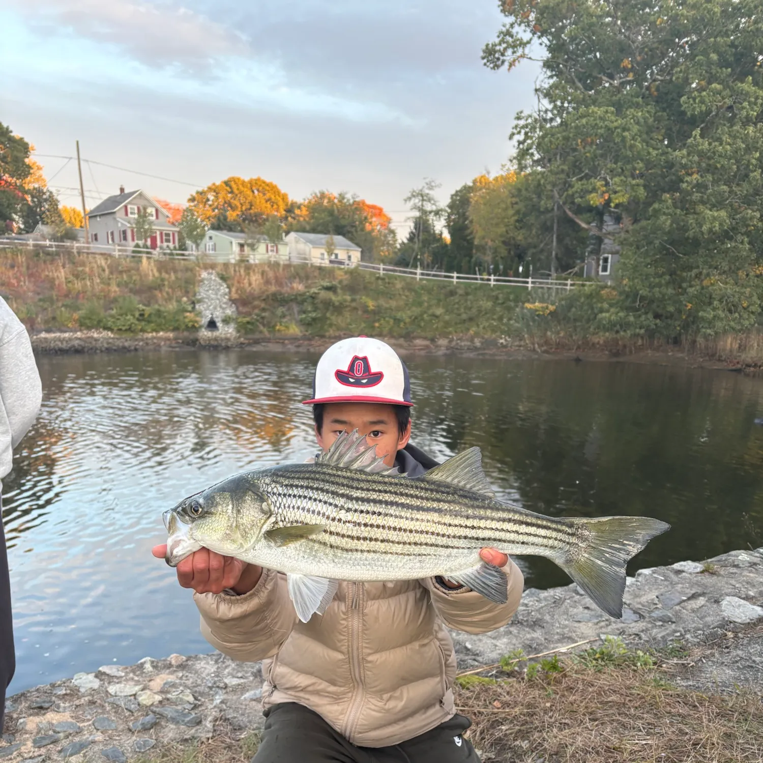 Striped bass caught on Fishbrain