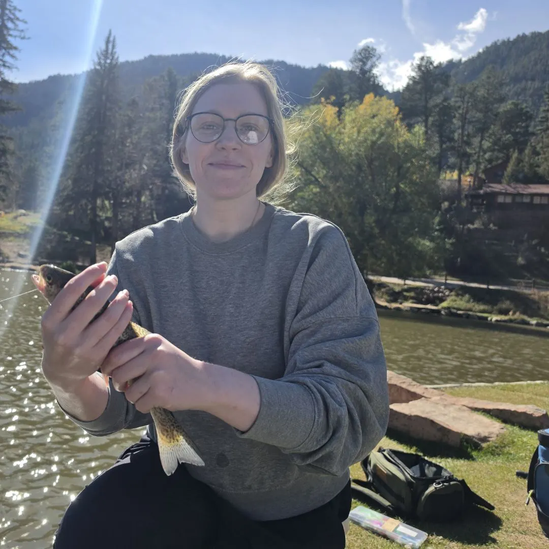 Rainbow trout caught on Fishbrain