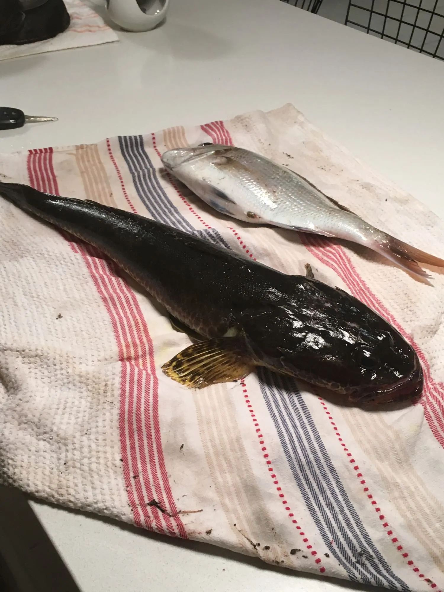 Post image from bthomas8619