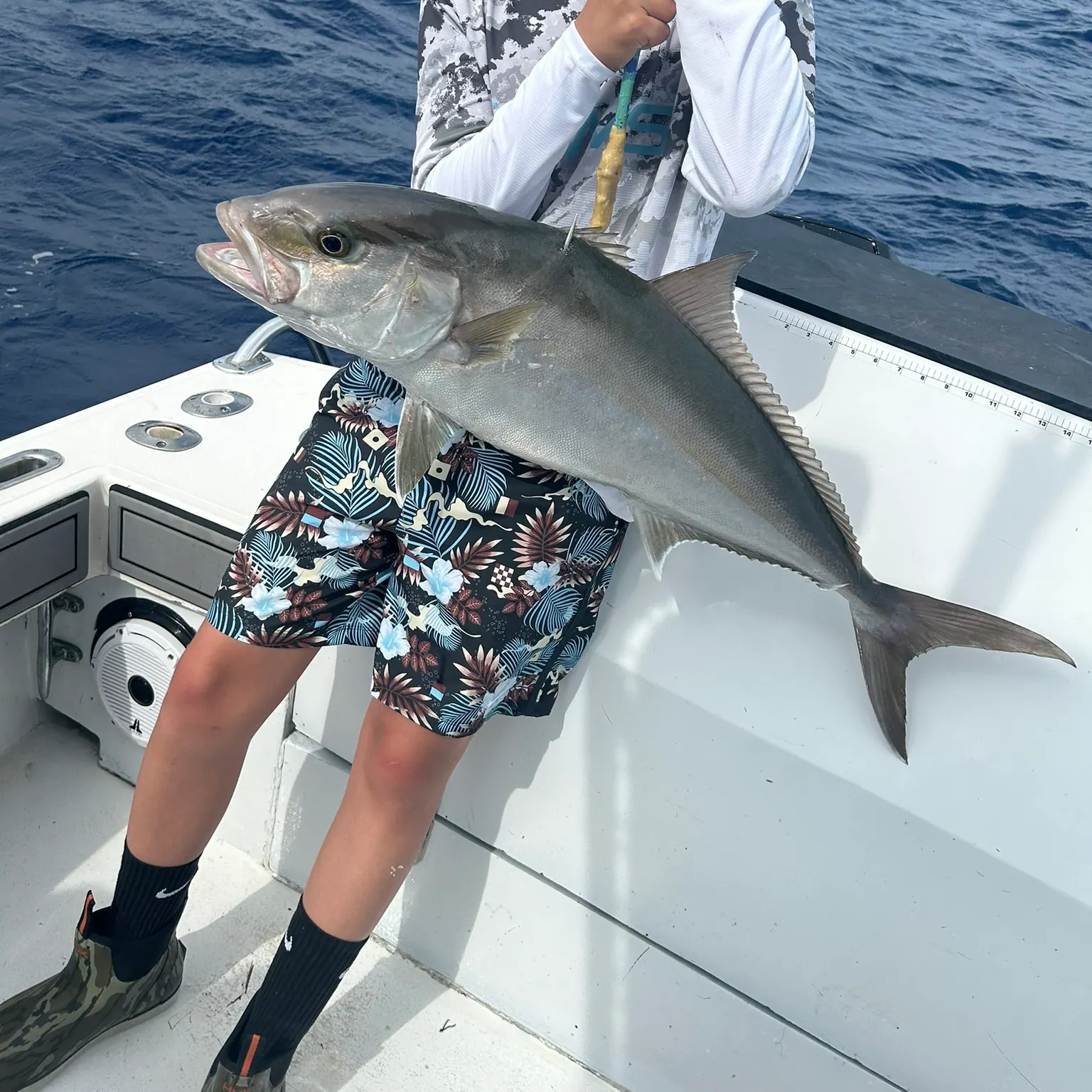 The most recent Greater amberjack catches on Fishbrain