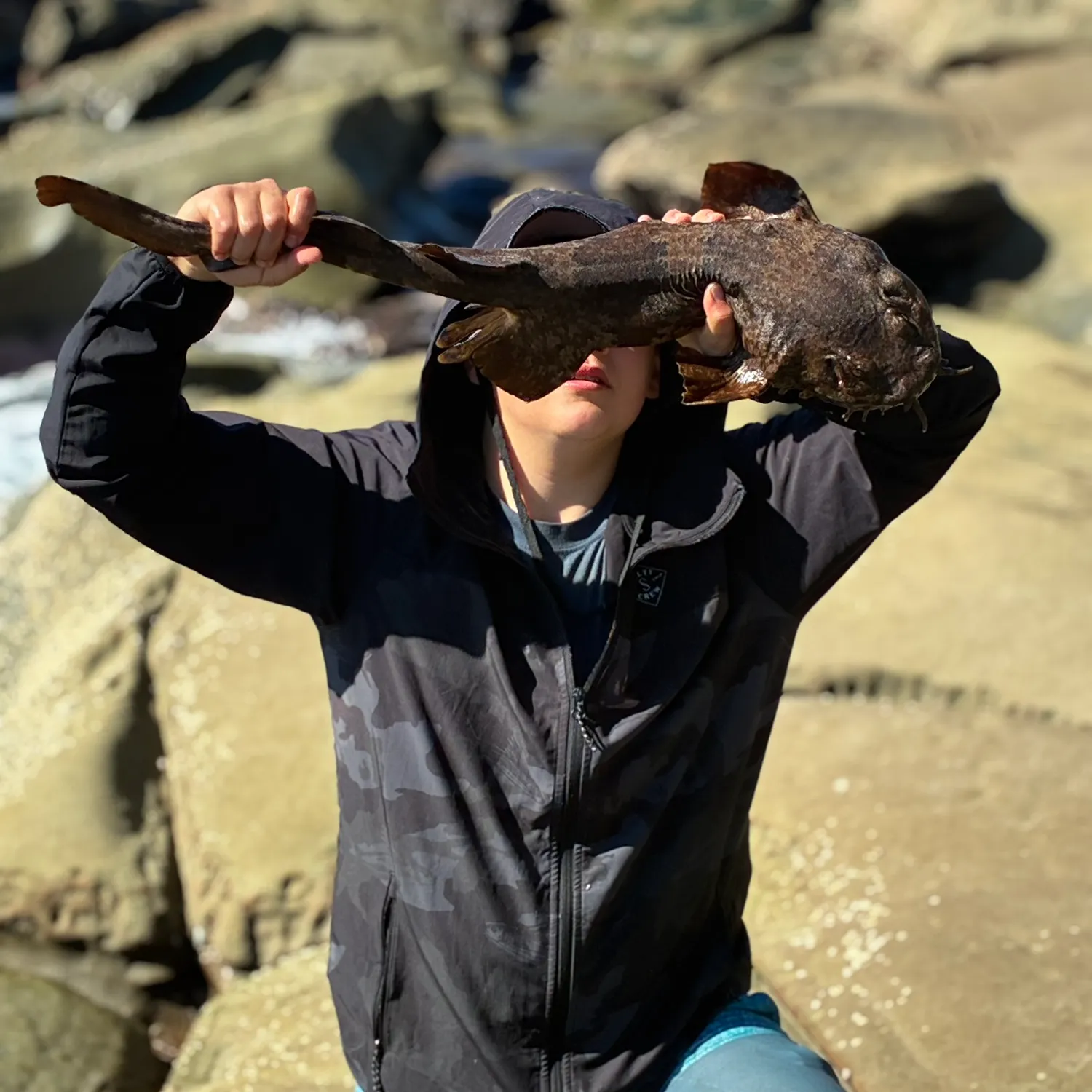 The most recent Spotted wobbegong catches on Fishbrain