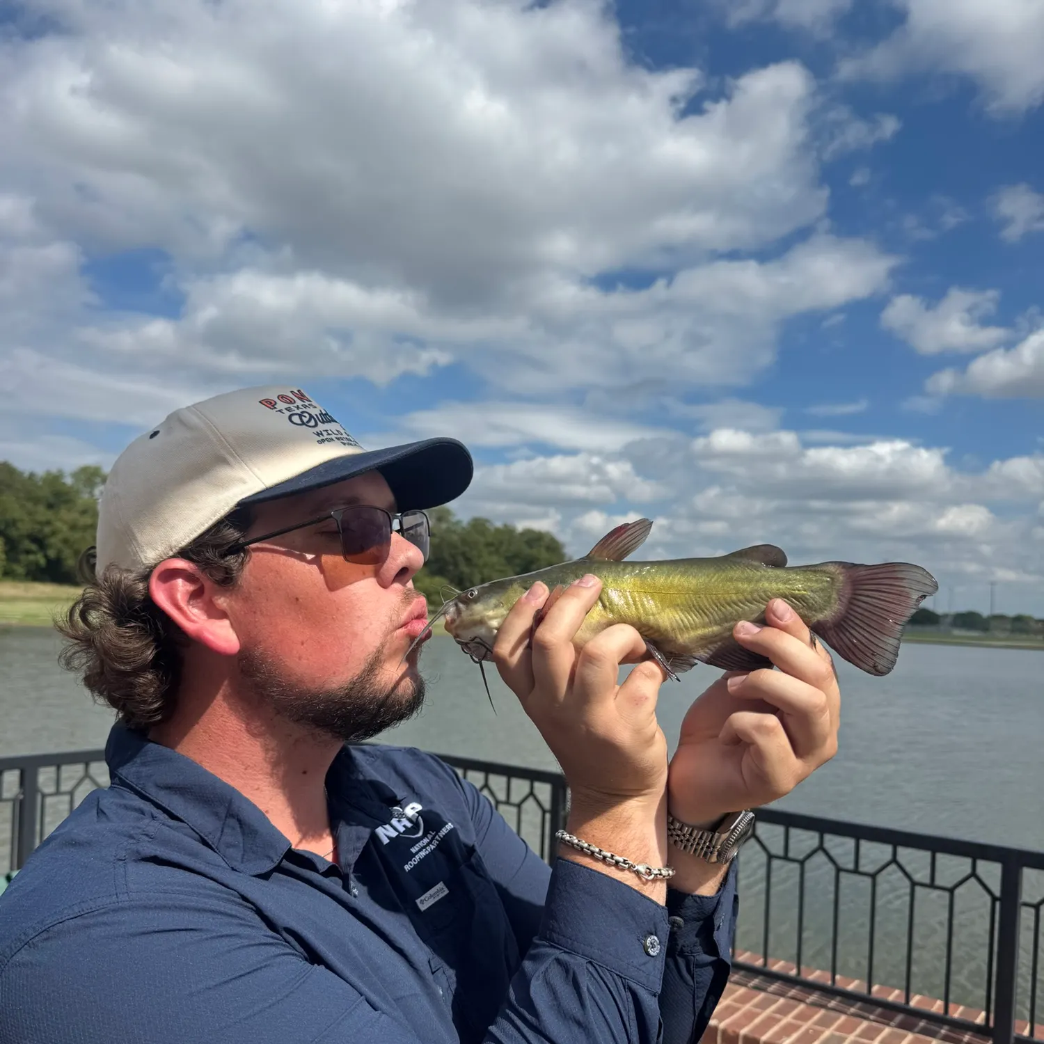 Black bullhead caught on Fishbrain