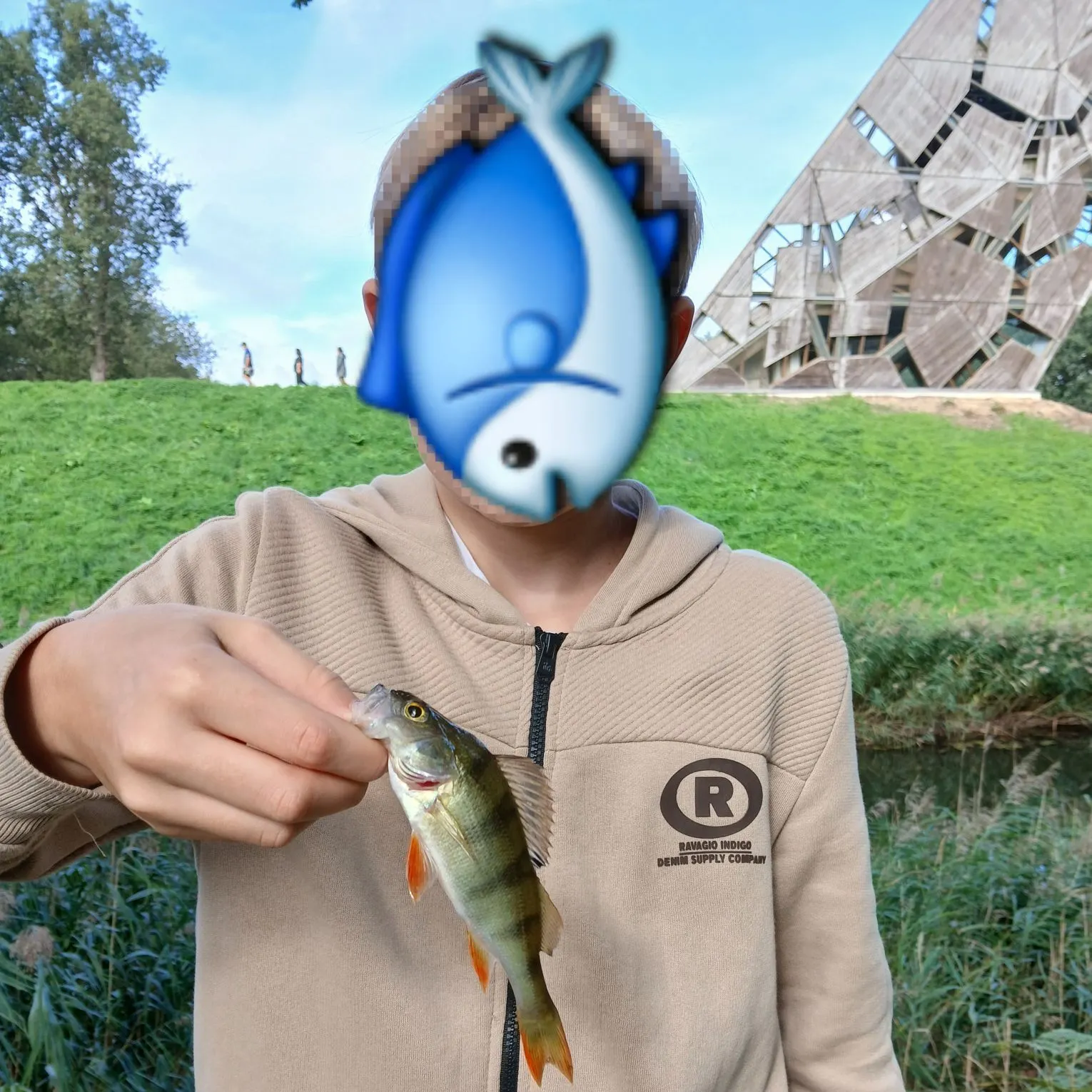 European perch caught on Fishbrain