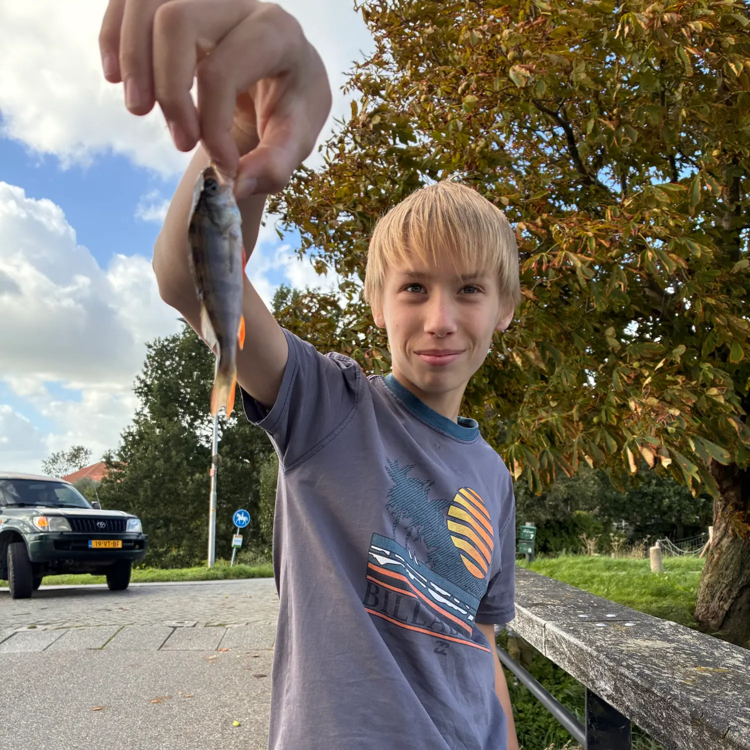European perch caught on Fishbrain