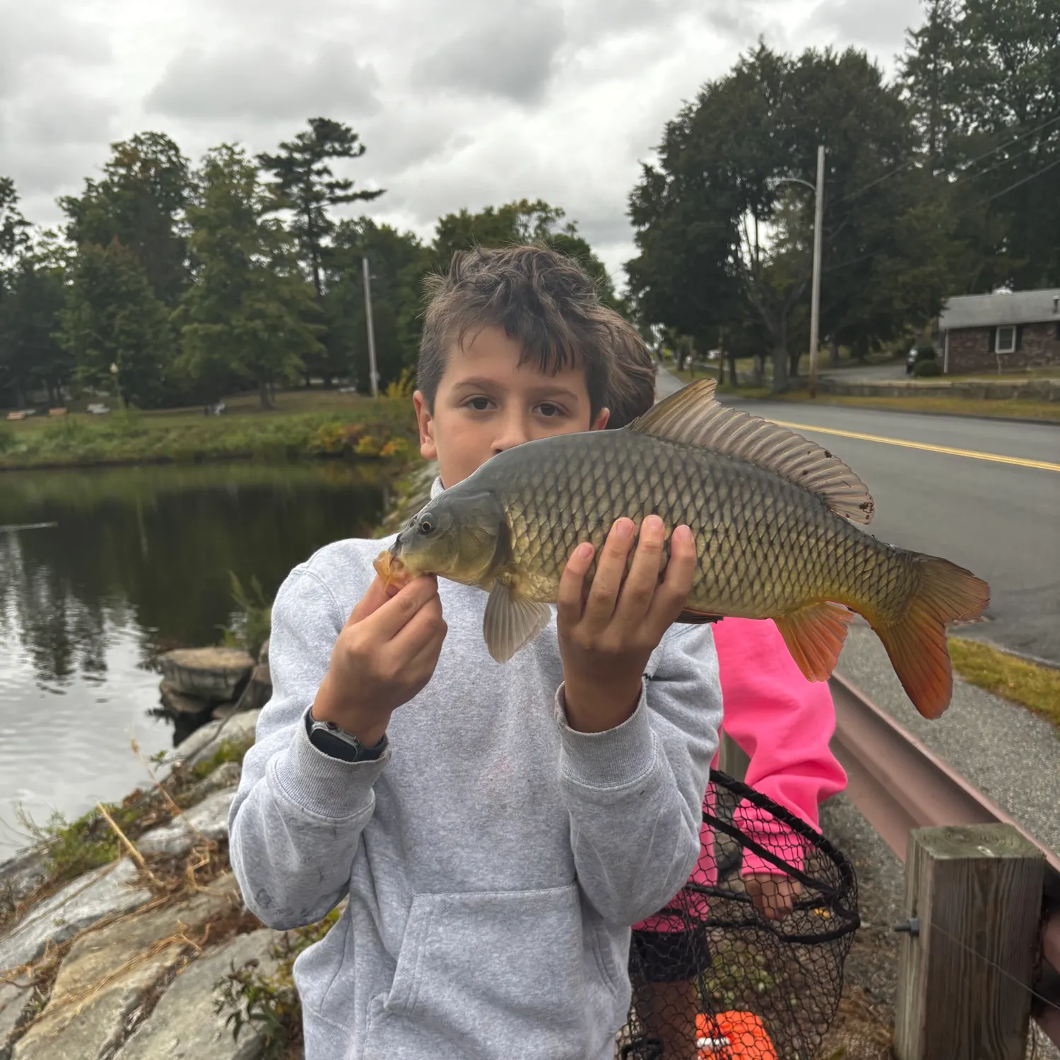 Common carp caught on Fishbrain